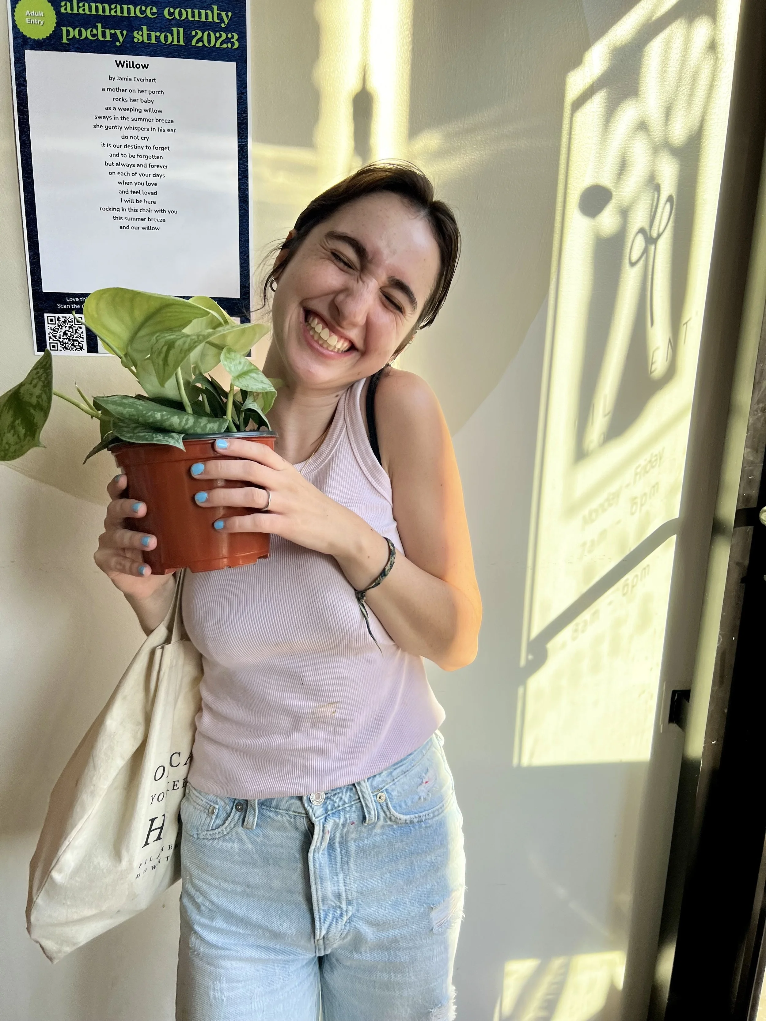 'Tis the Plant Season: Silver Satin