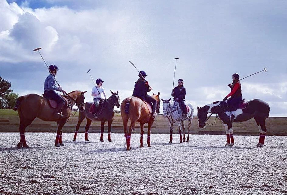 6 Week Polo Course