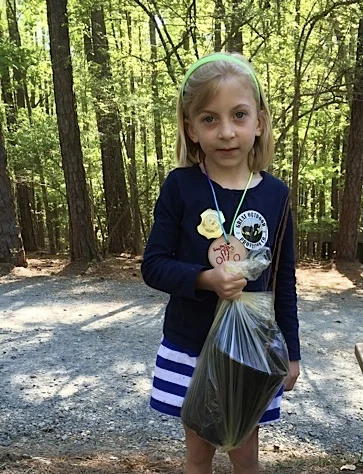 2014 Umstead Park Jr. Ranger Tree Giveaway