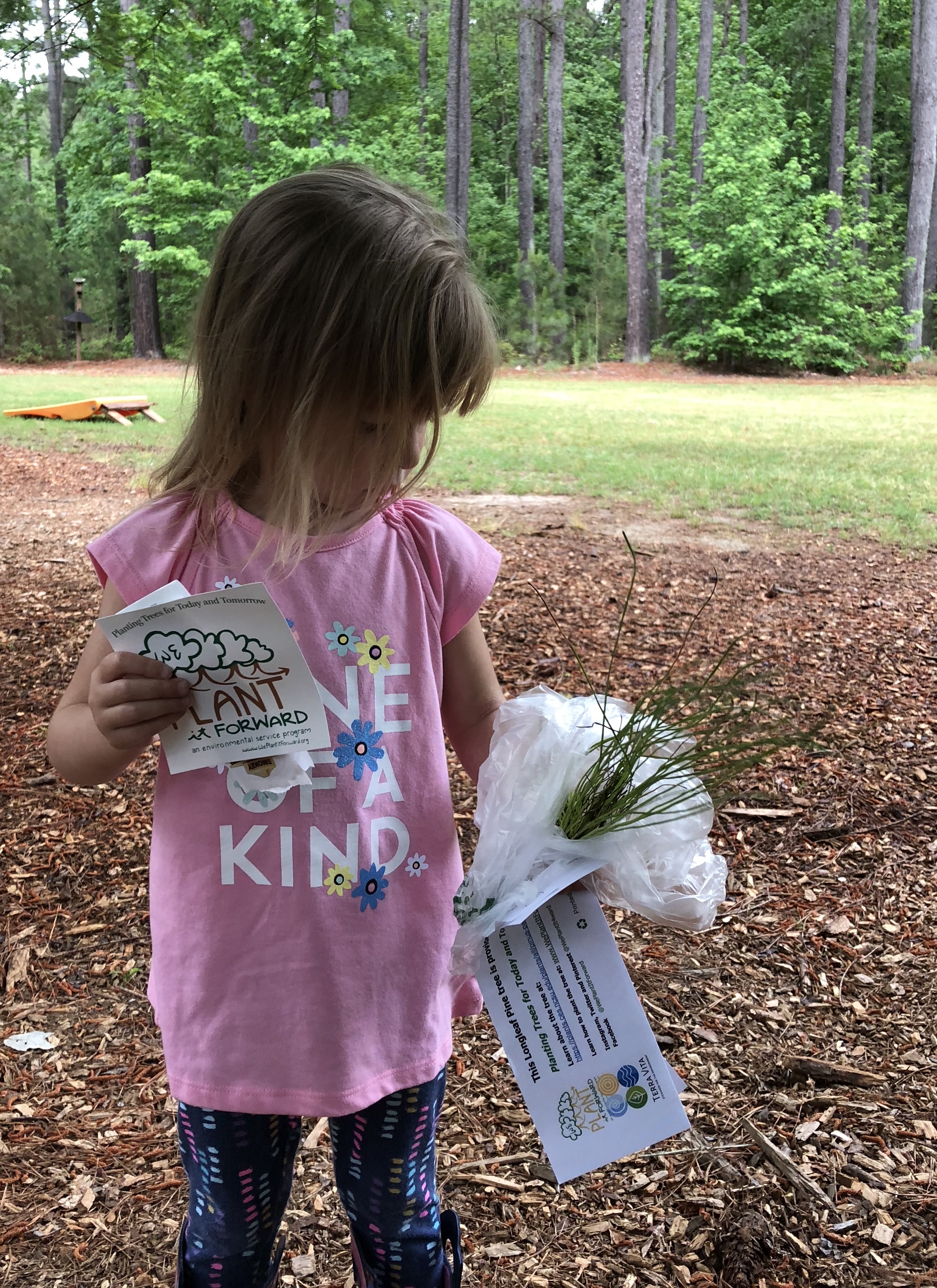 2018 Longleaf Pine Festival Harris County Park North Carolina Tree Giveaway