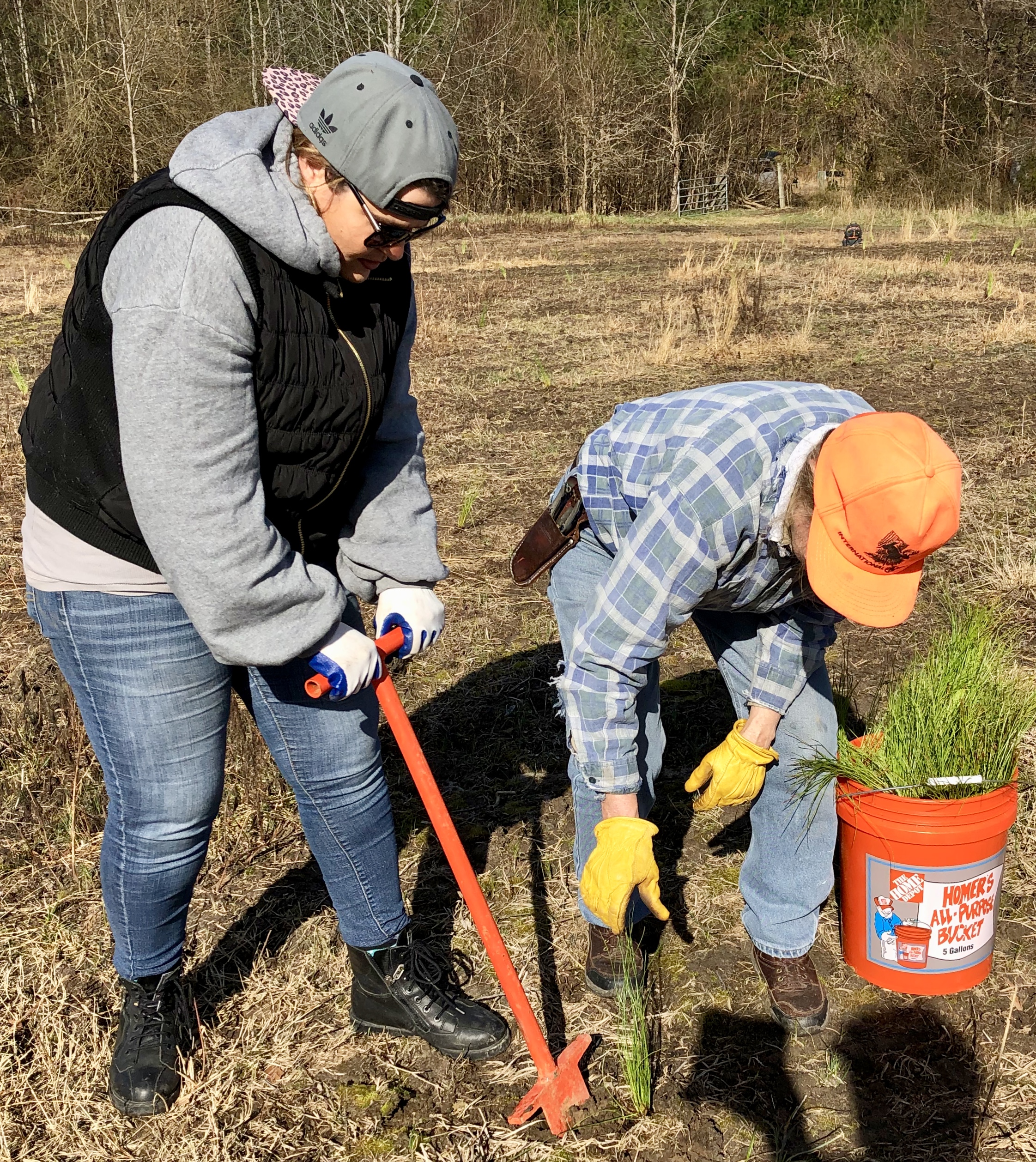2019 Walnut Hill Triangle Land Conservancy Tree Planting