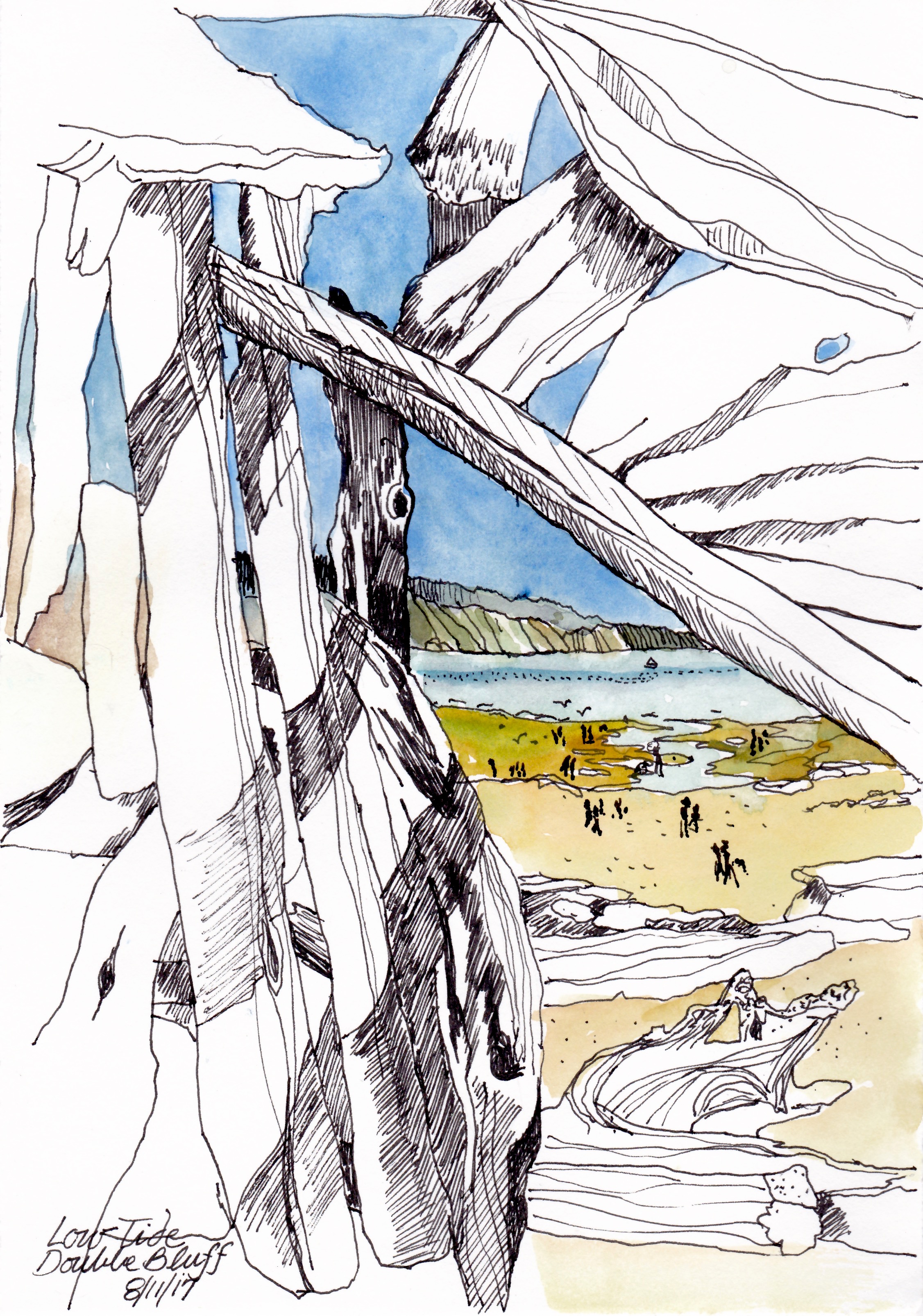 Double Bluff beach SBS.jpeg