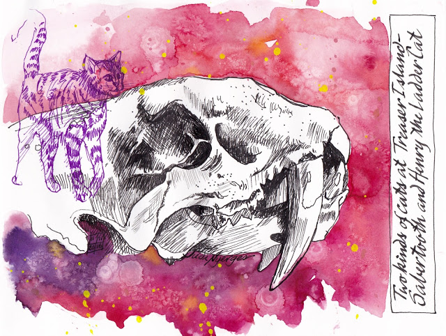 Treasure Island Cats.jpeg