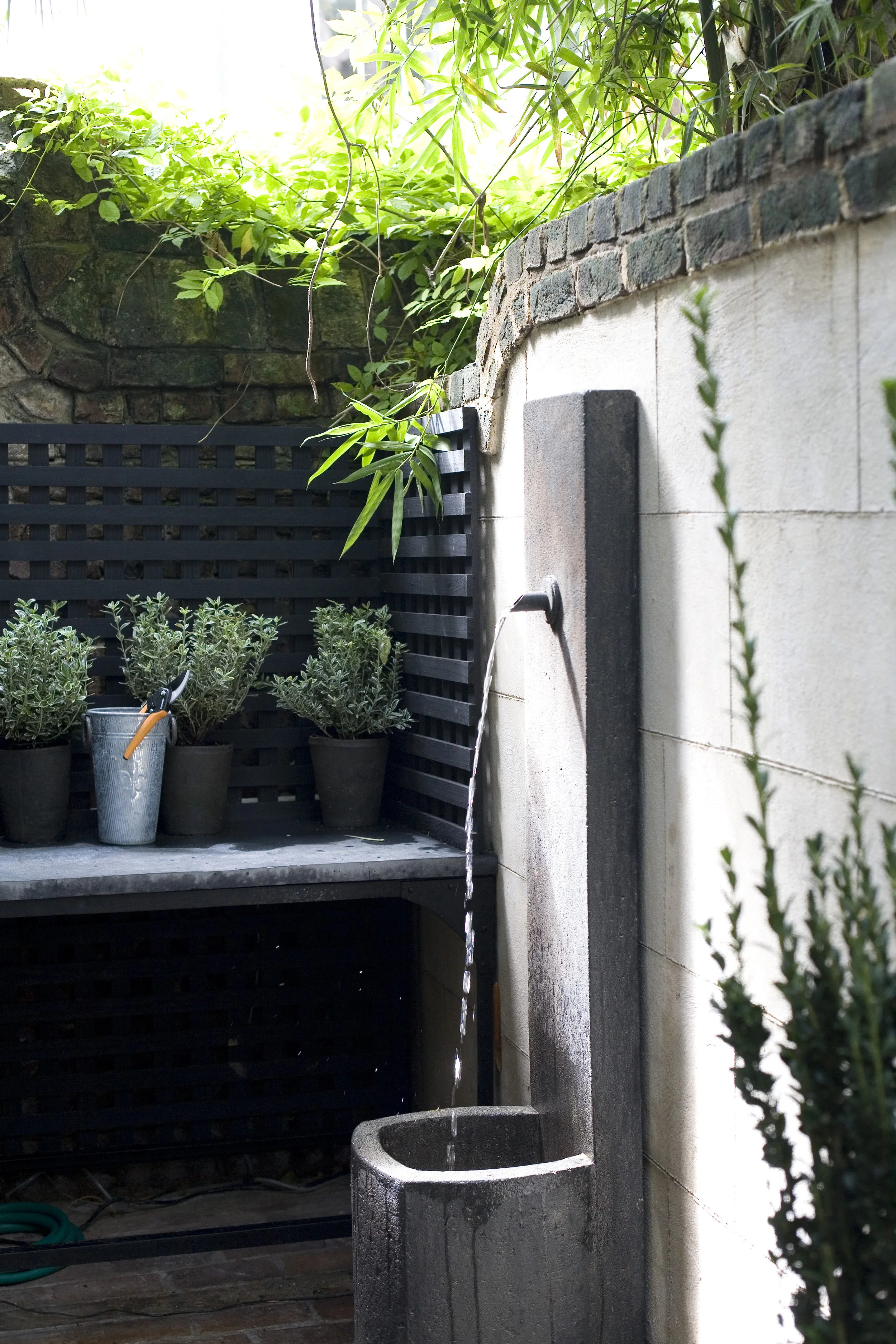 Garden1.jpg