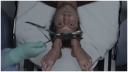 Untitled-6.gif