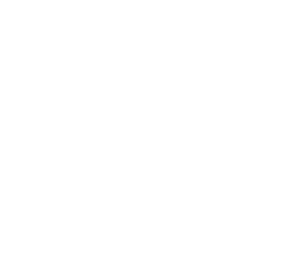 the_boston_globe_logo.png