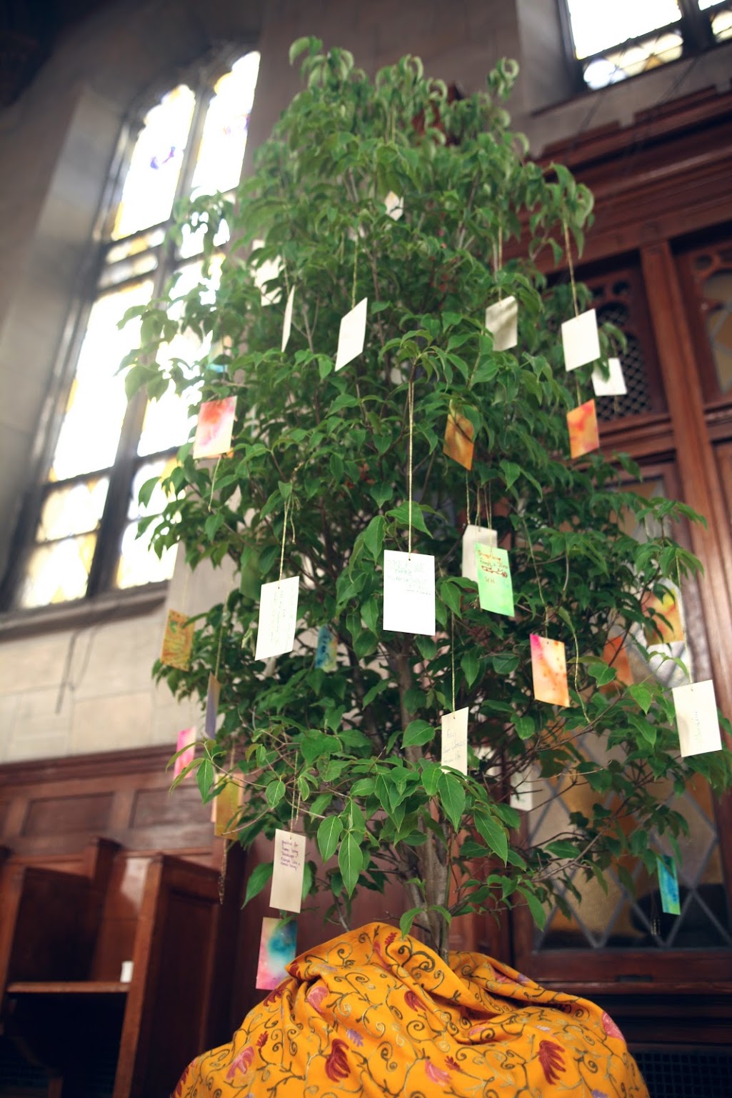 A tree in tribute to Gene at the Fourth International Conference on Focusing-Oriented Therapy in June, 2017.