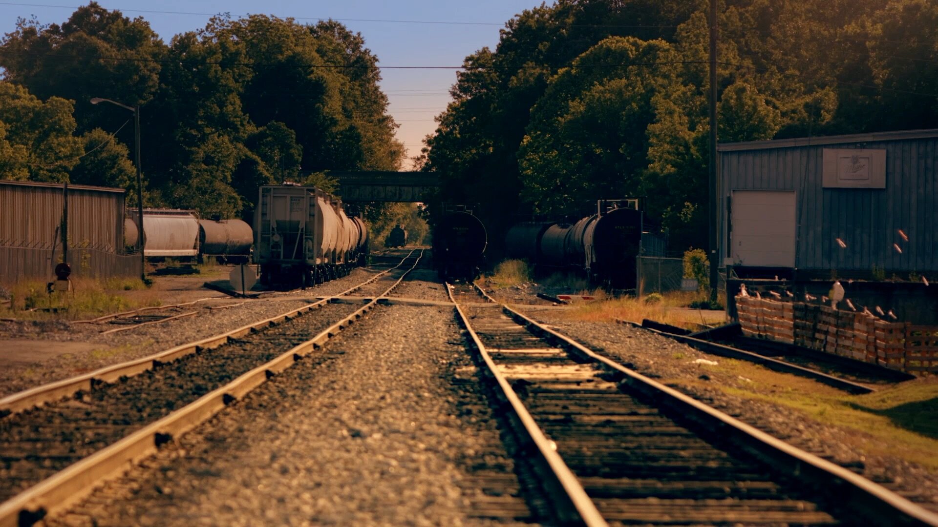 Rail tracks.jpeg