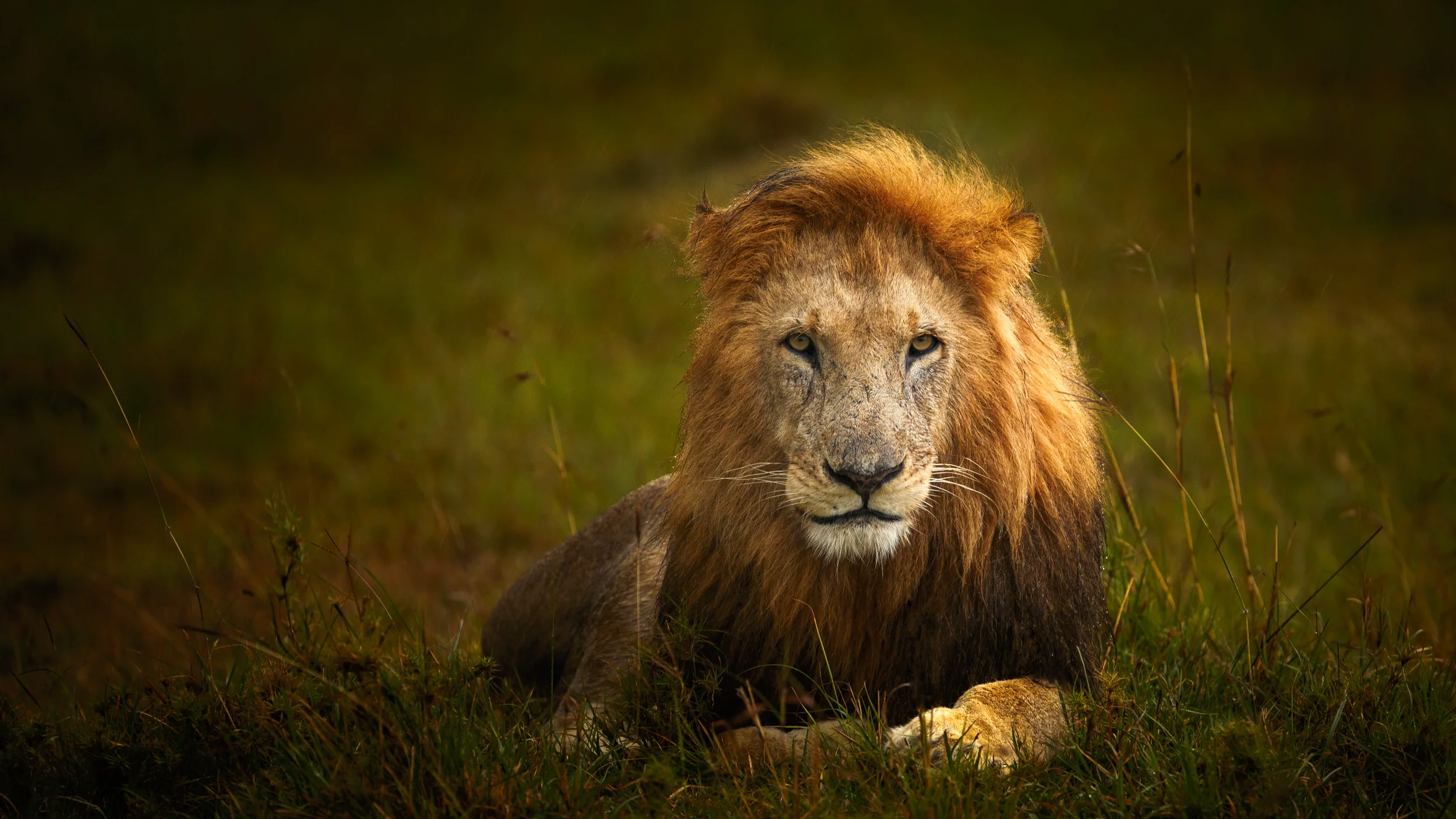 Clifford Pickett Photography Africa-9.jpg