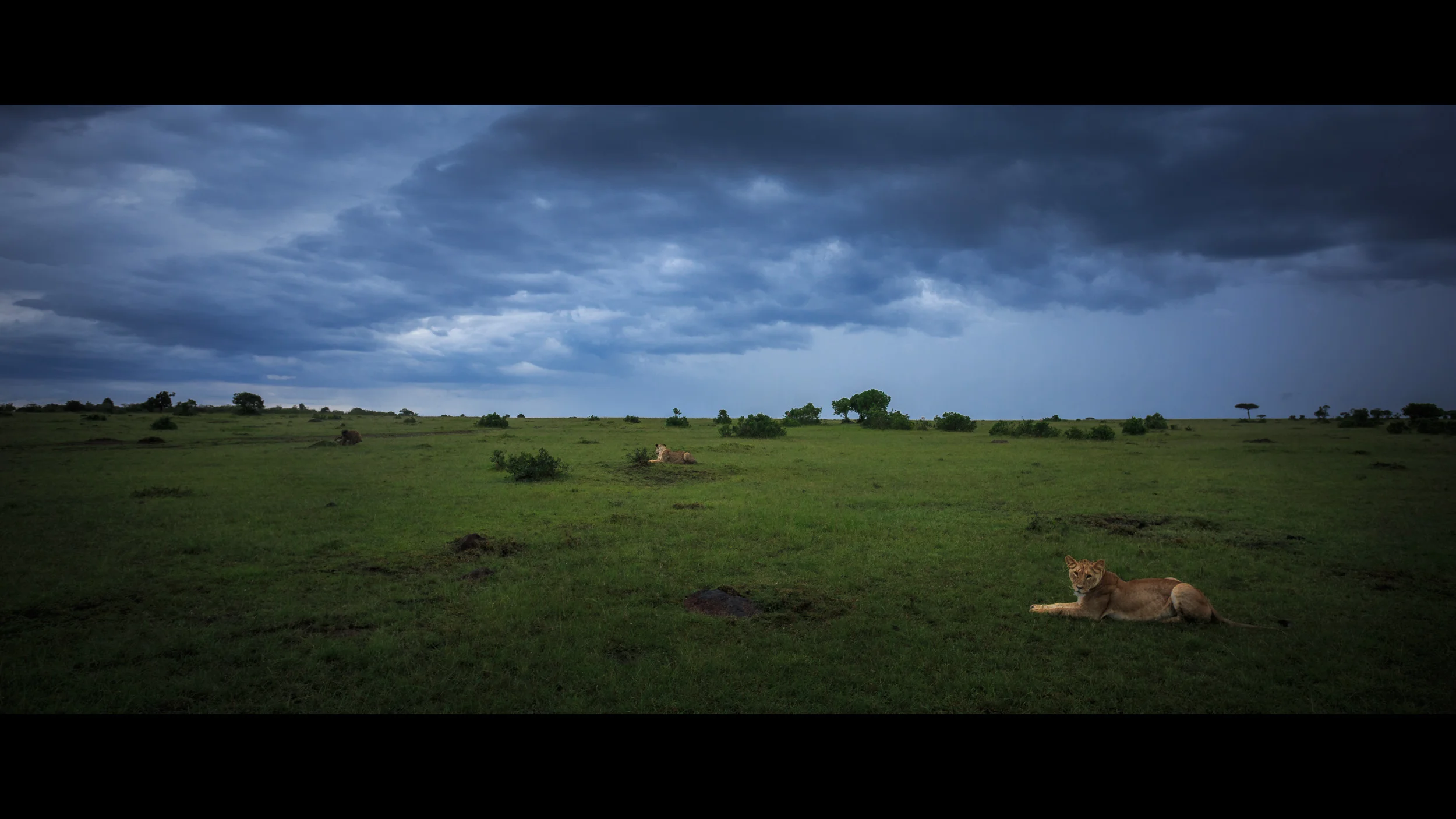 Clifford Pickett Photography Africa-11.jpg