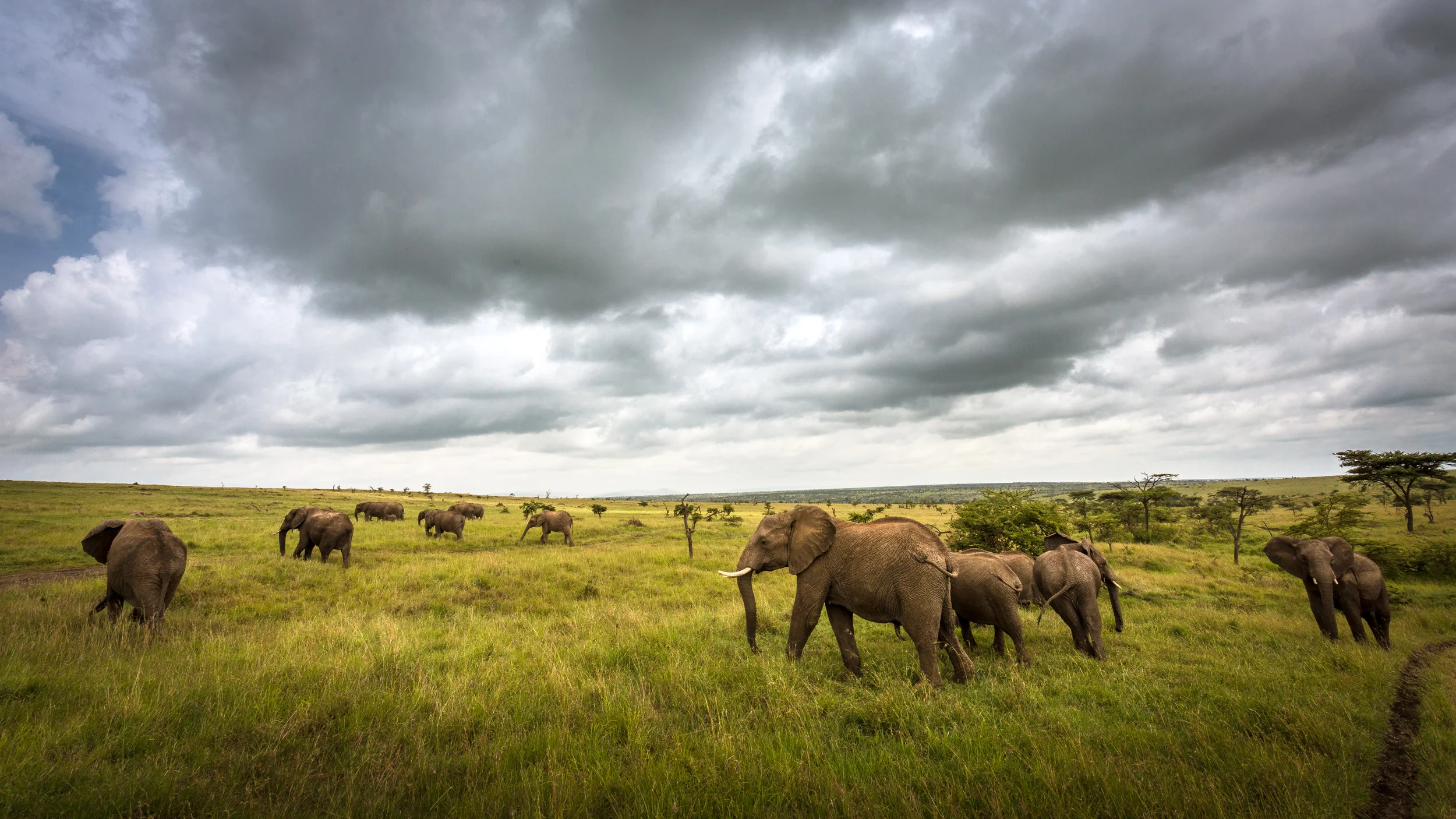 Clifford Pickett Photography Africa-21.jpg