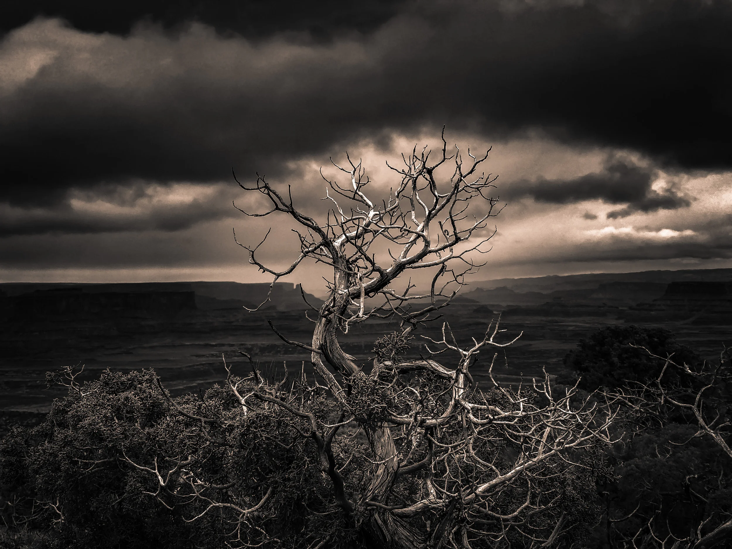 Clifford Pickett Photography iPhone-5.jpg