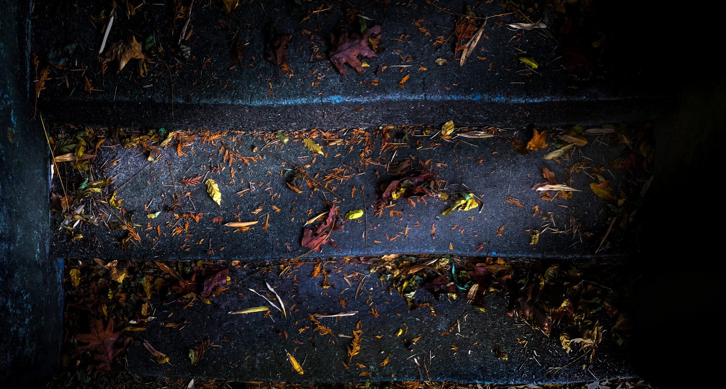 Clifford Pickett Photography iPhone-13.jpg