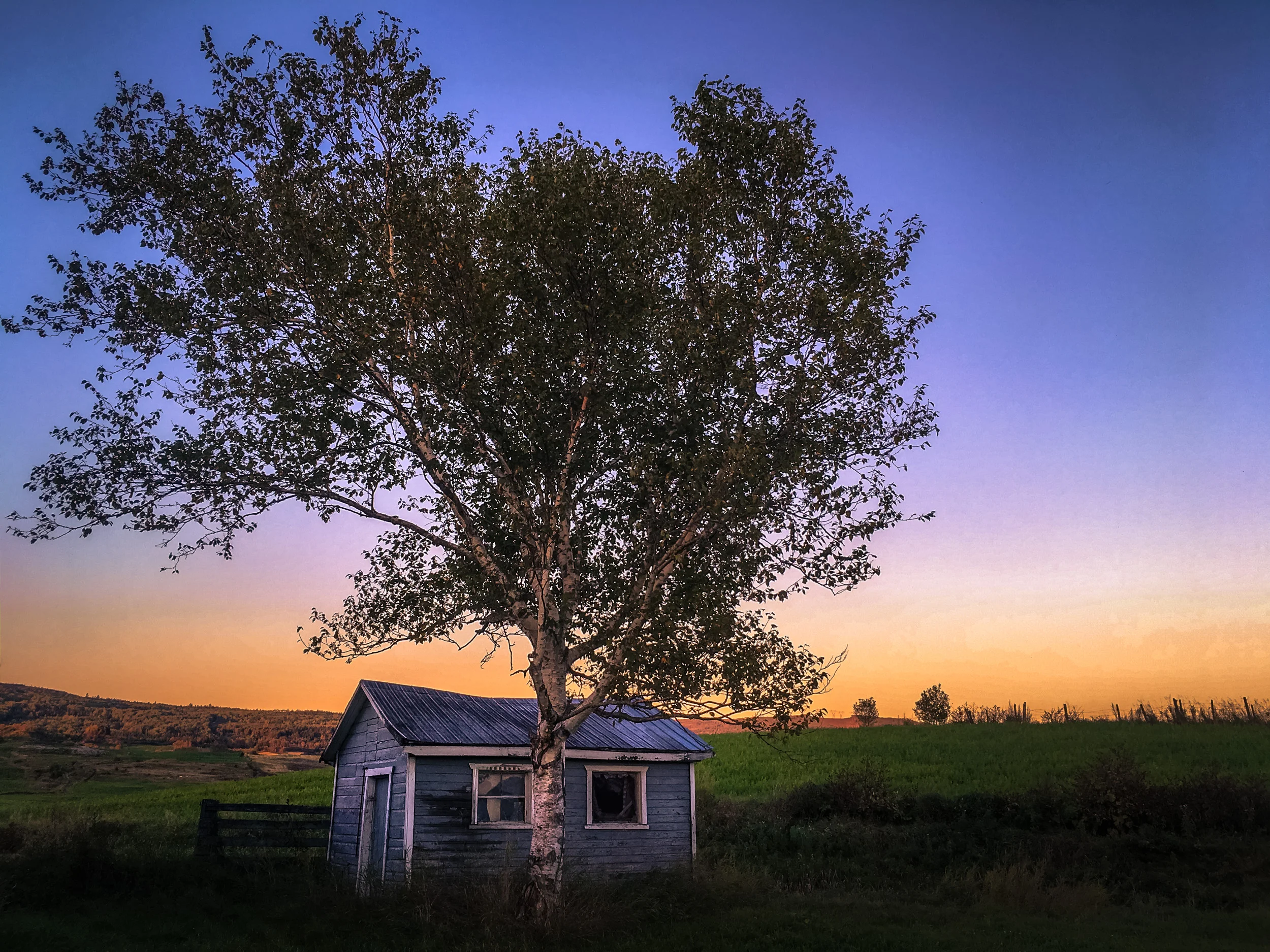 Clifford Pickett Photography iPhone-17.jpg