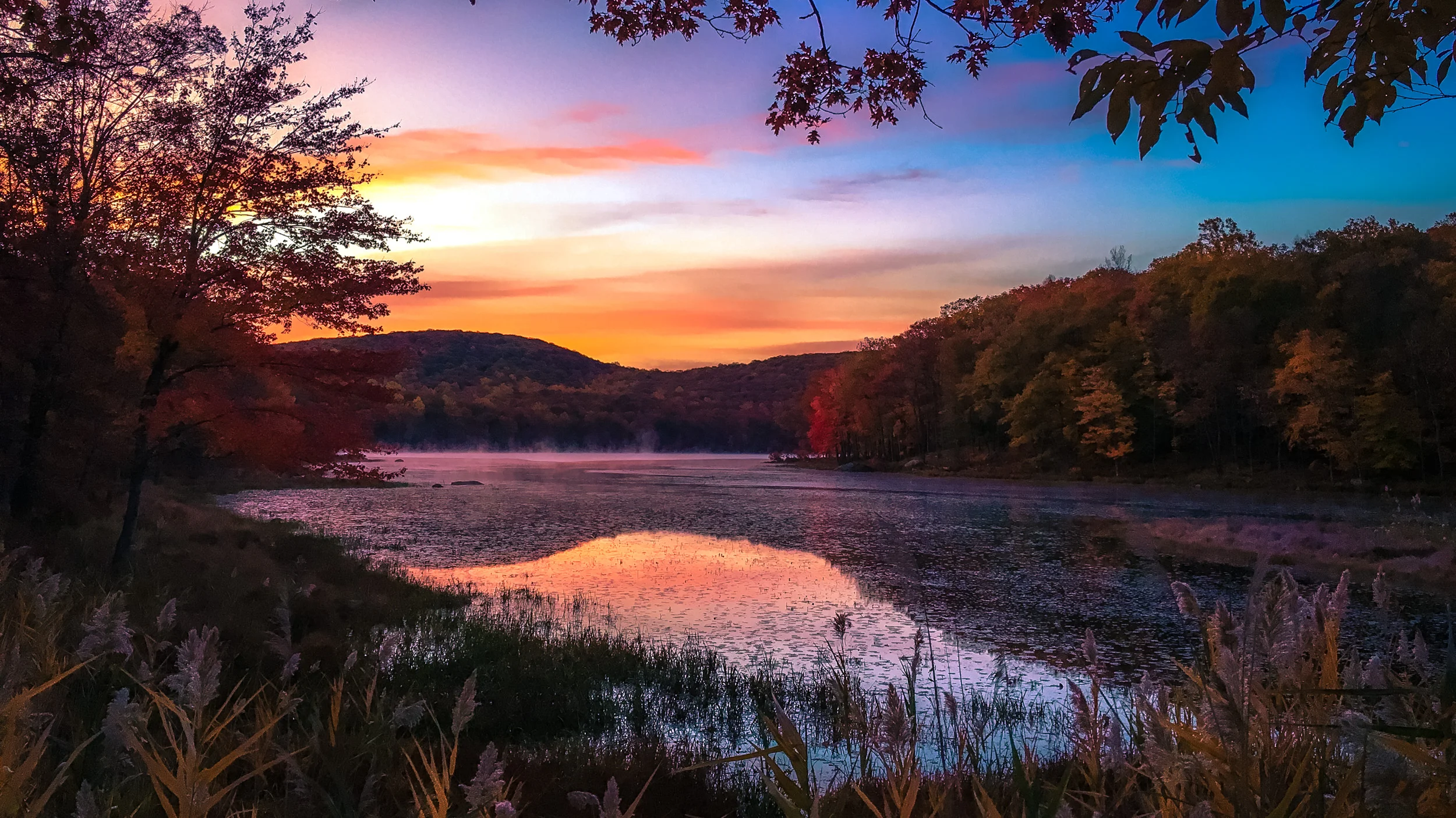 Clifford Pickett Photography iPhone-21.jpg