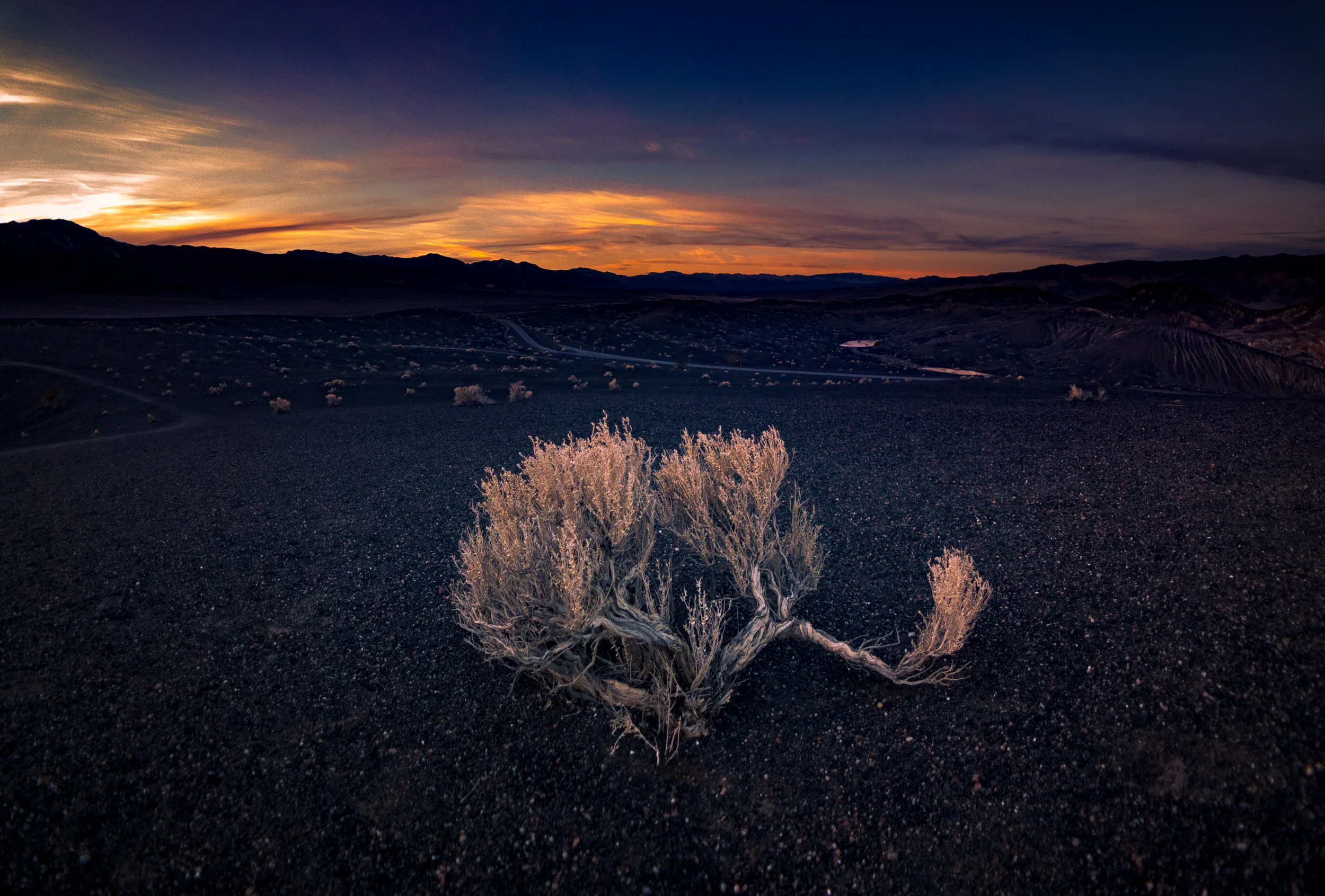 Clifford Pickett Photography iPhone-39.jpg