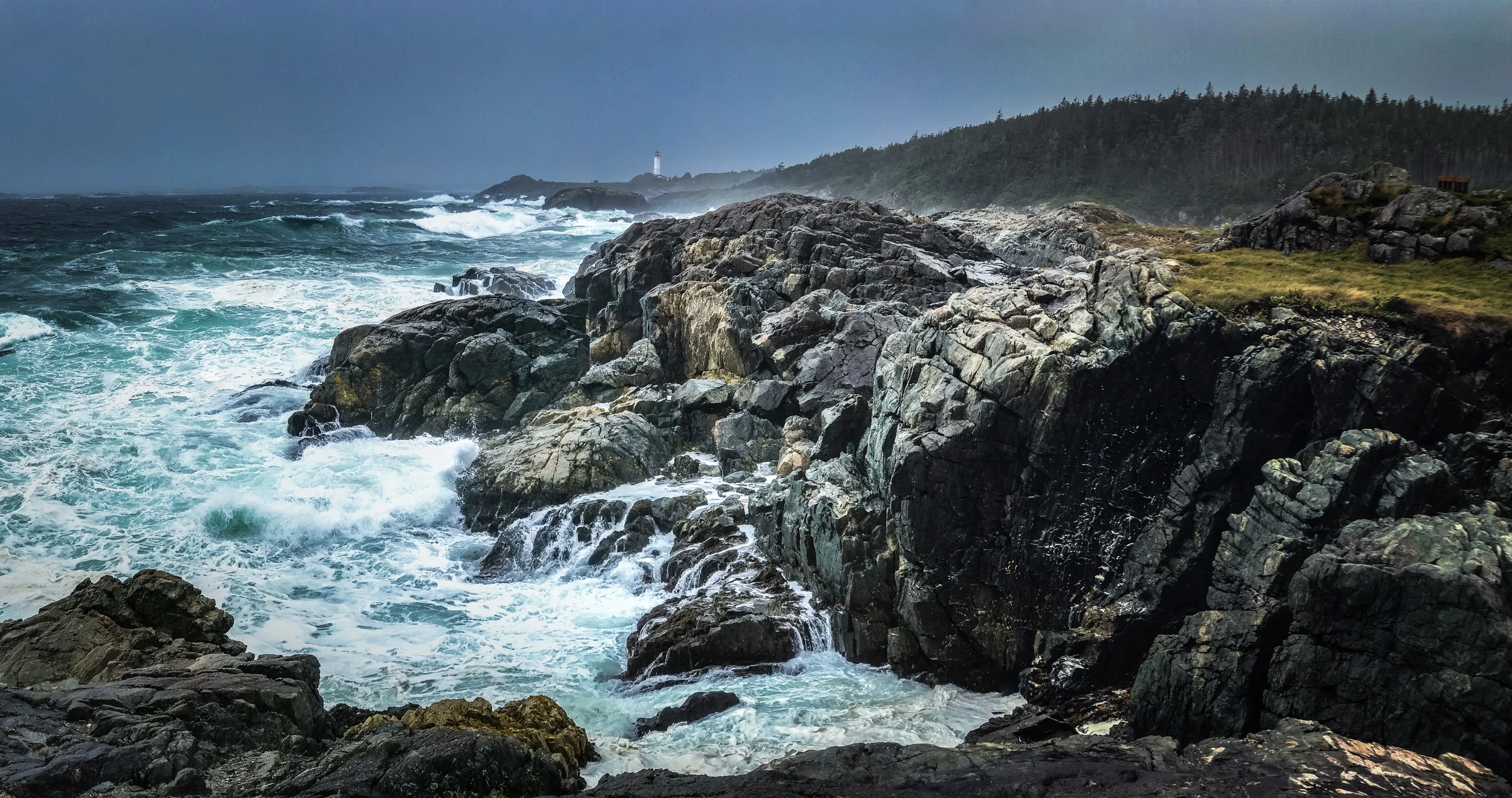 Clifford Pickett Photography iPhone-44.jpg