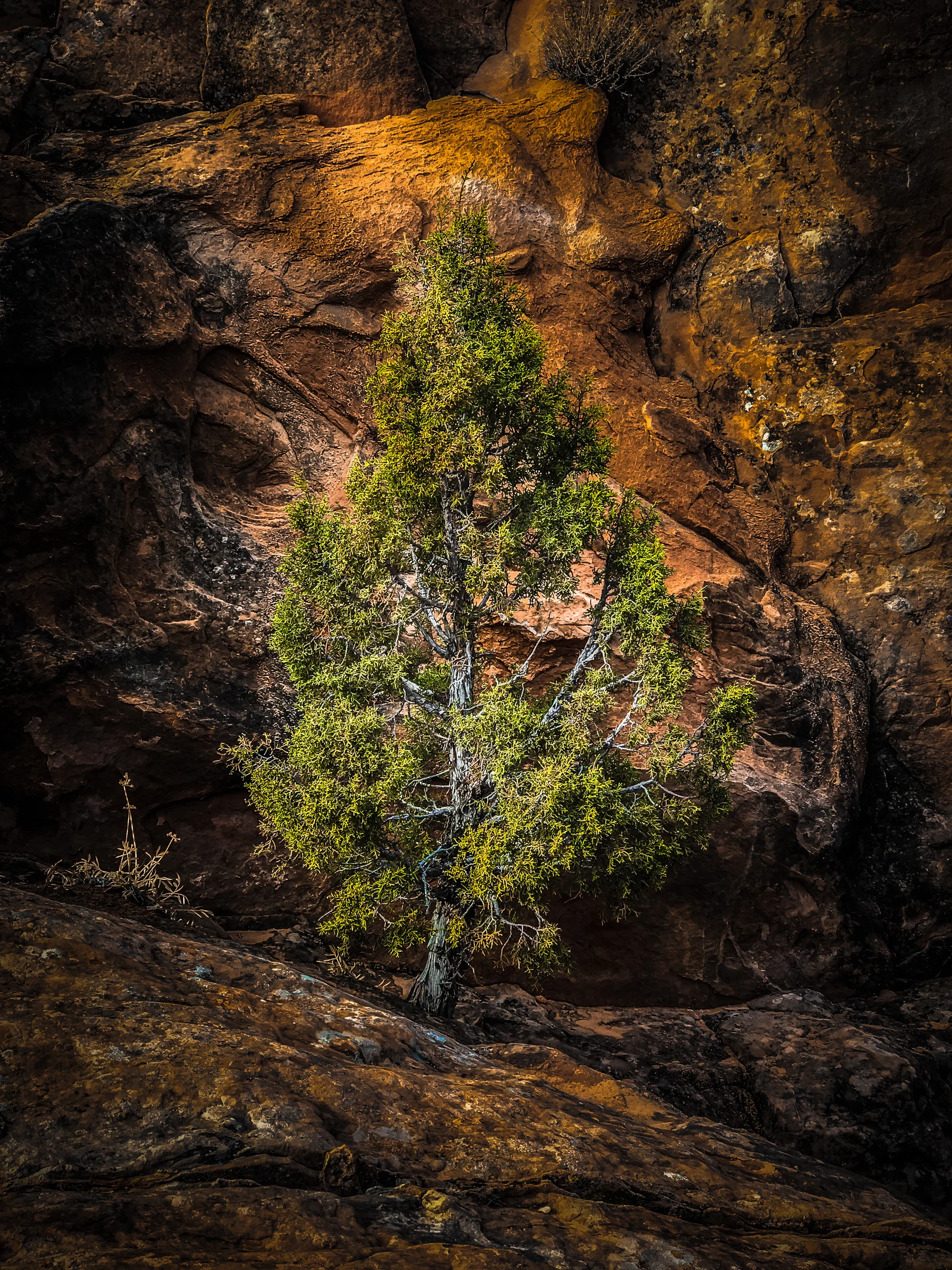 Clifford Pickett Photography iPhone-45.jpg
