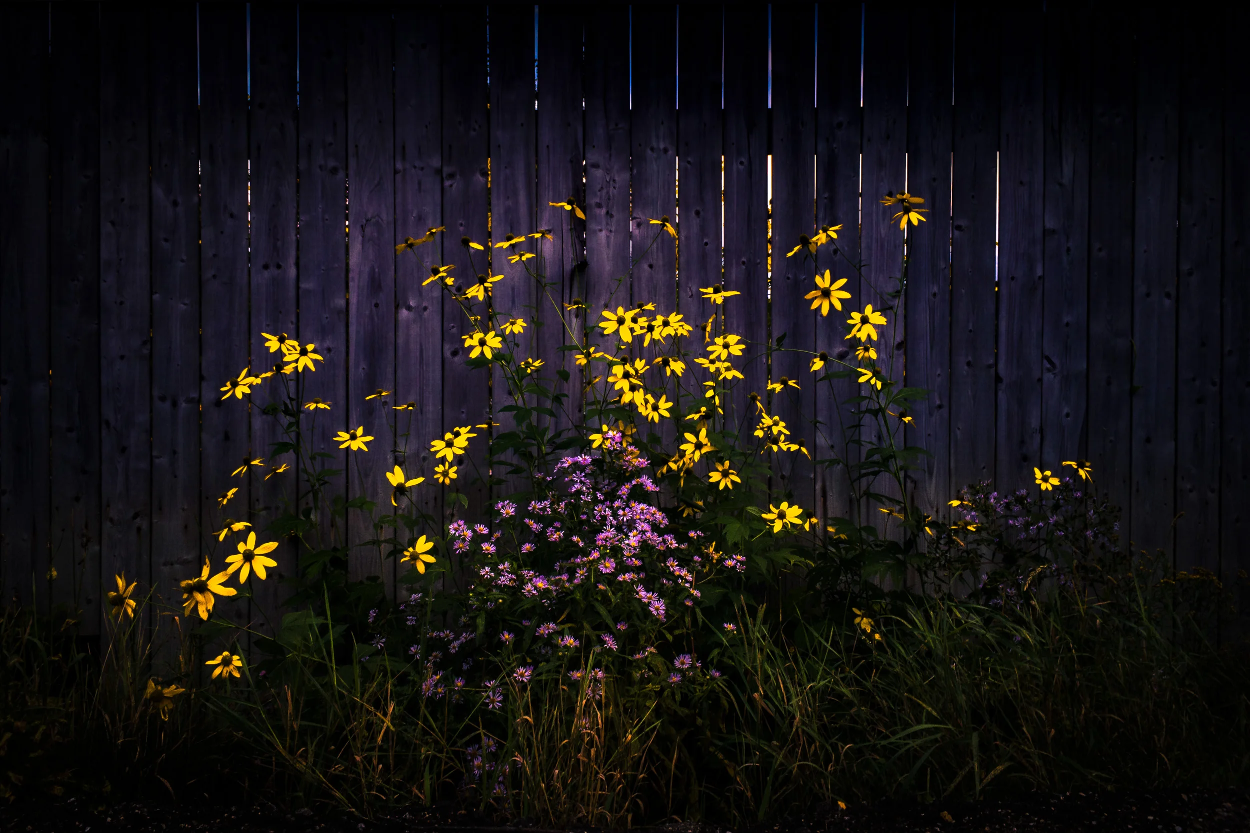 Clifford Pickett Photography iPhone-47.jpg