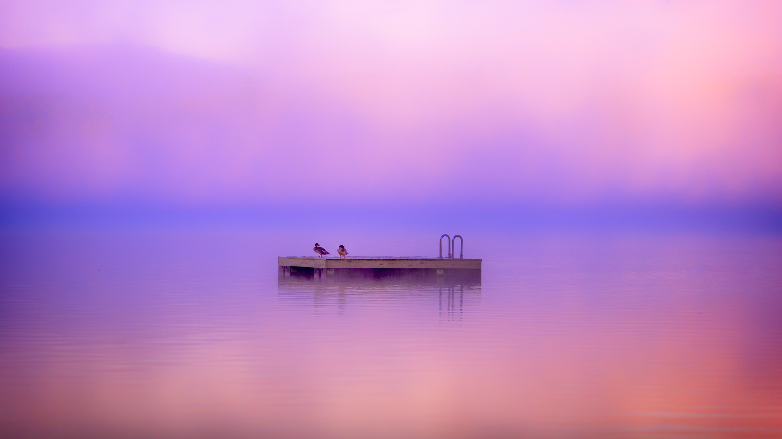 Clifford Pickett Photography Autumn-6.jpg