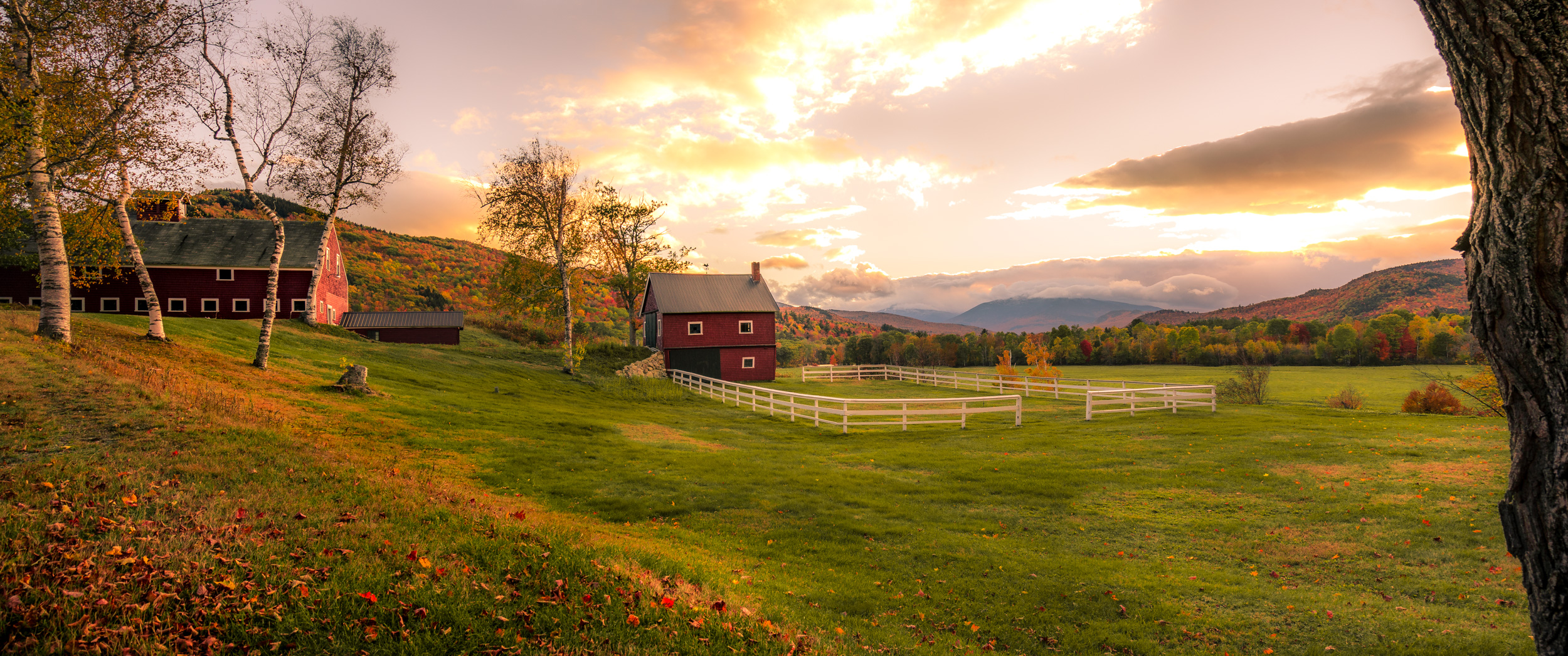 Clifford Pickett Photography Autumn-5.jpg