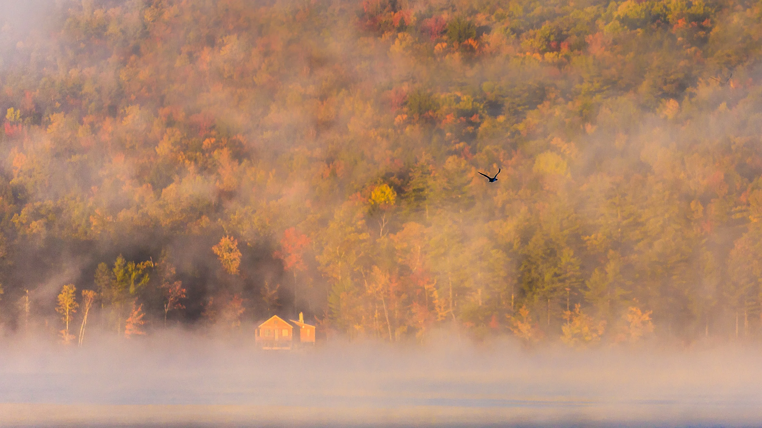 Clifford Pickett Photography Autumn-7.jpg