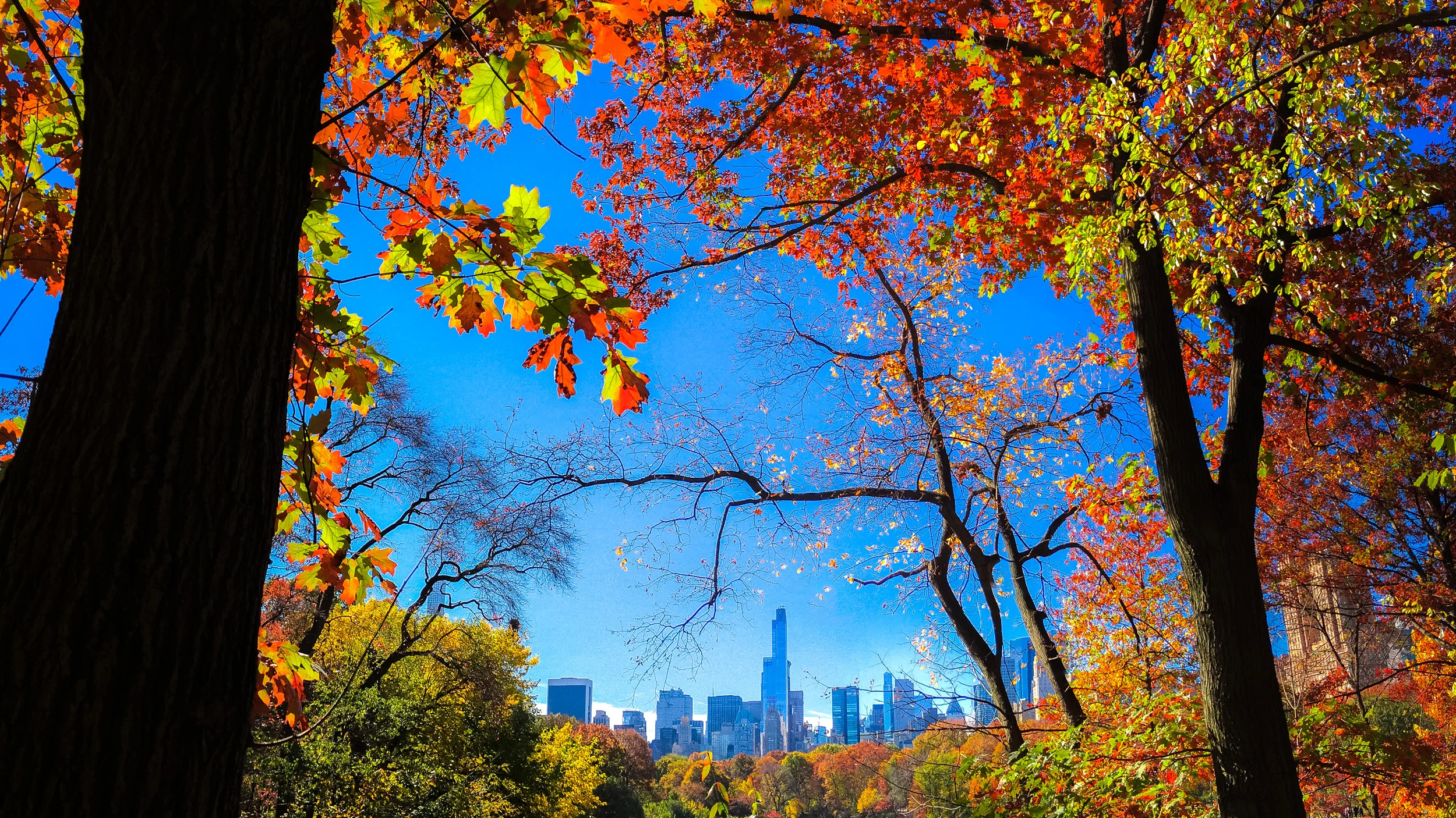 Clifford Pickett Photography Autumn-10.jpg
