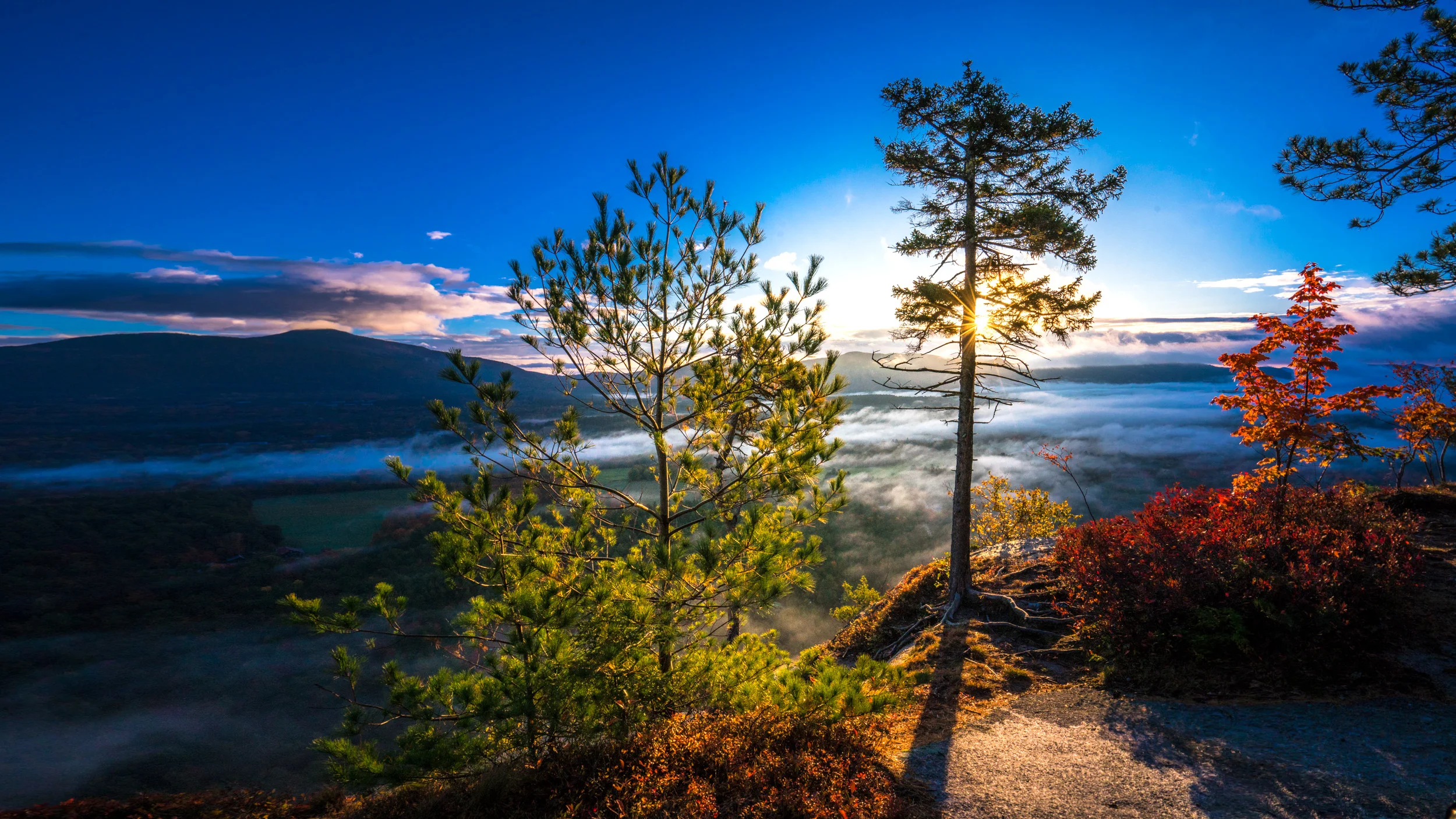 Clifford Pickett Photography Autumn-13.jpg