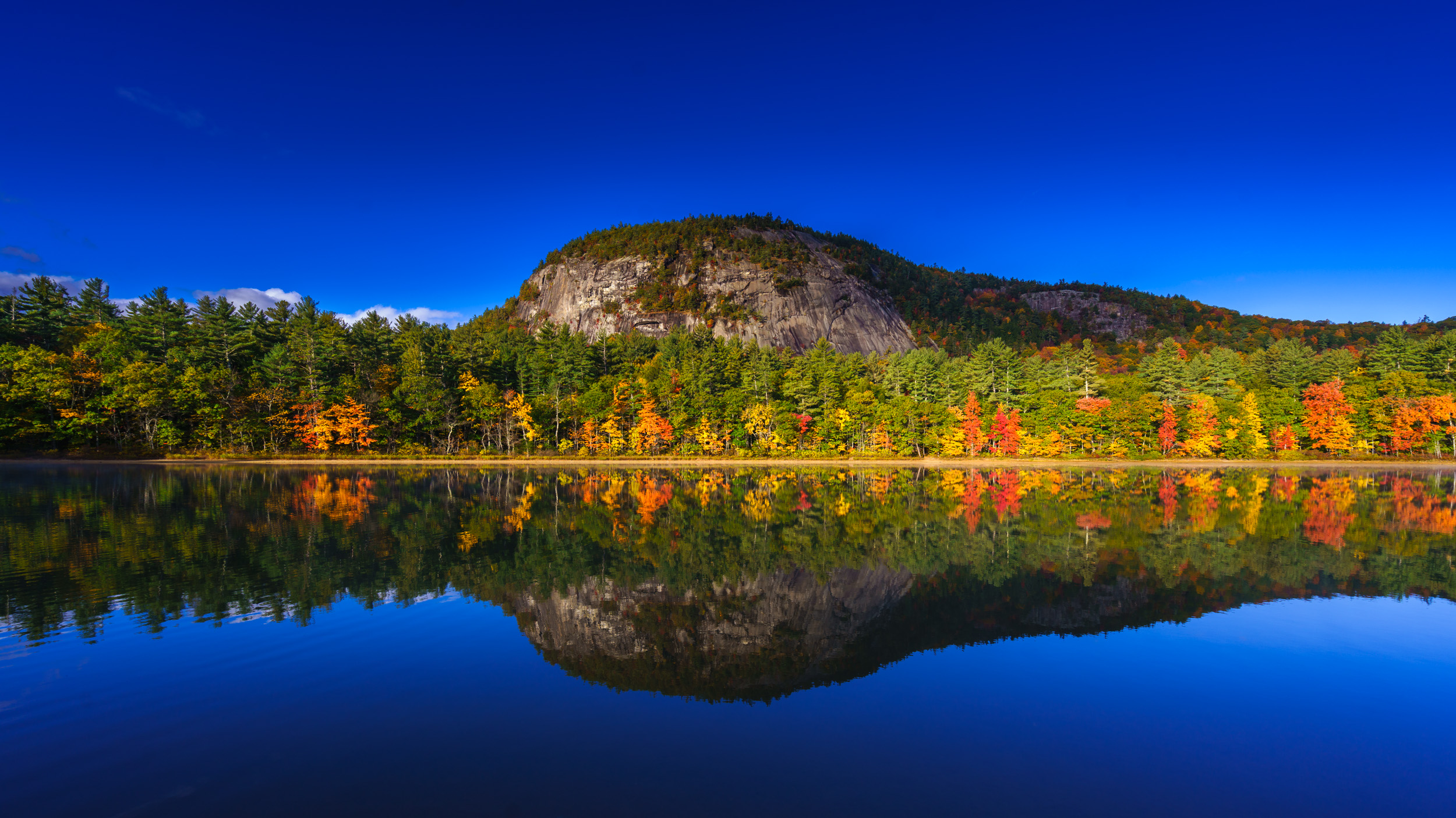 Clifford Pickett Photography Autumn-16.jpg
