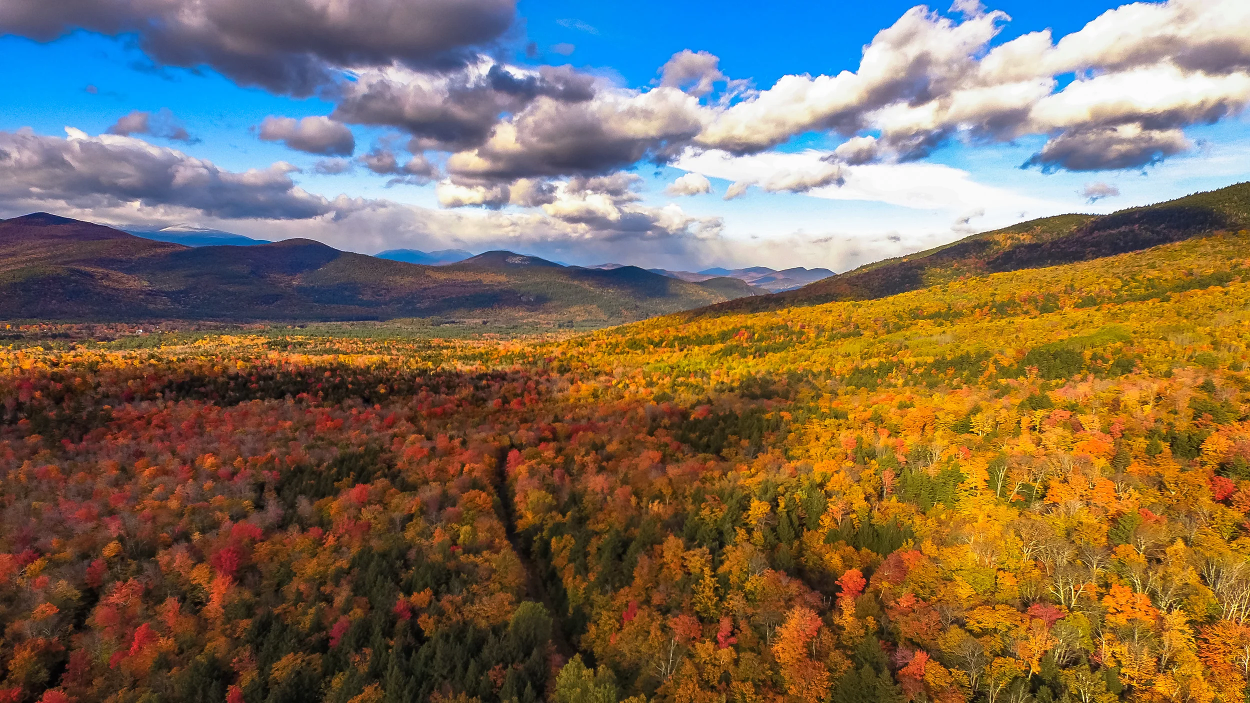 Clifford Pickett Photography Autumn-18.jpg
