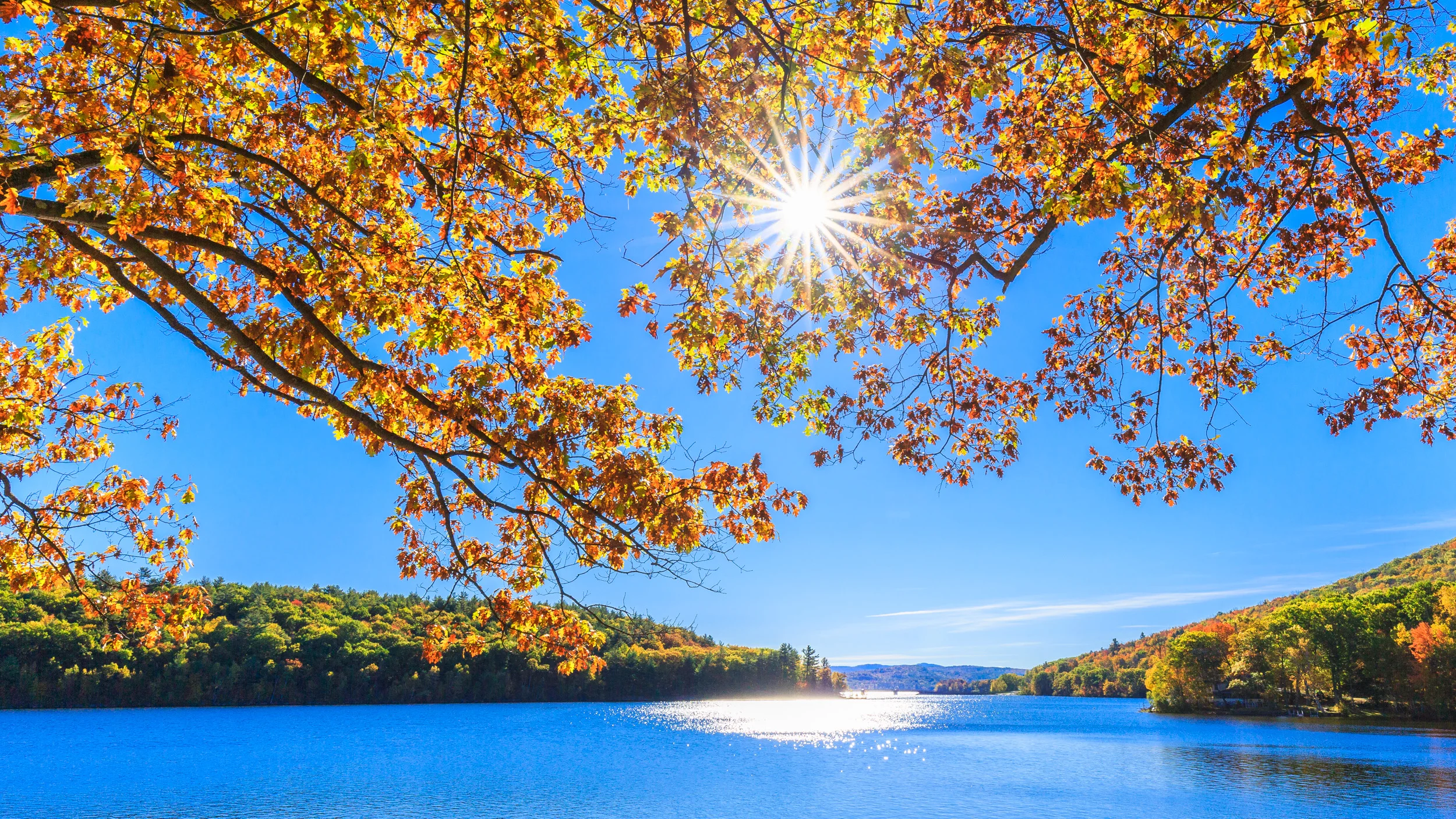 Clifford Pickett Photography Autumn-21.jpg