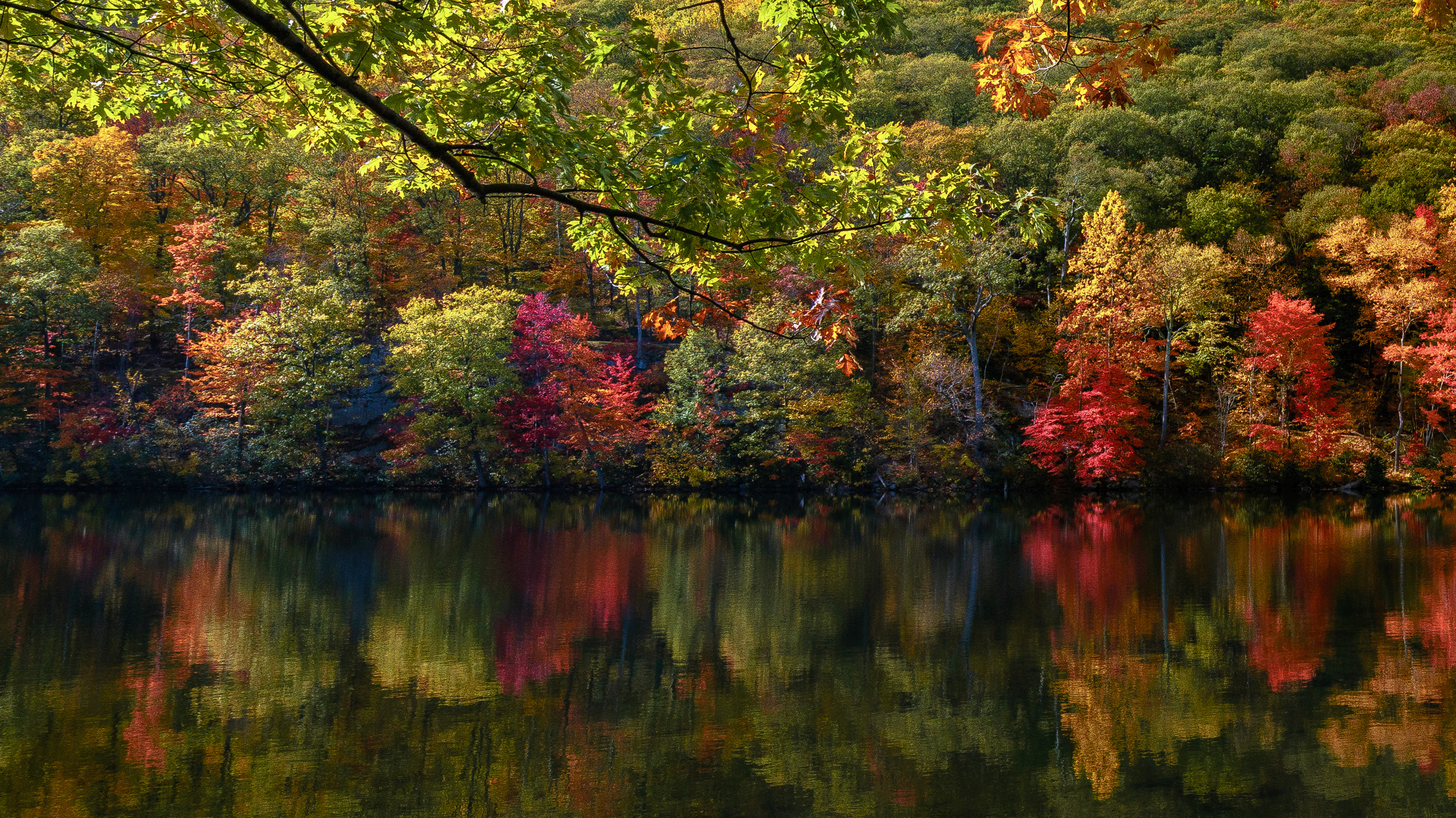 Clifford Pickett Photography Autumn-22.jpg