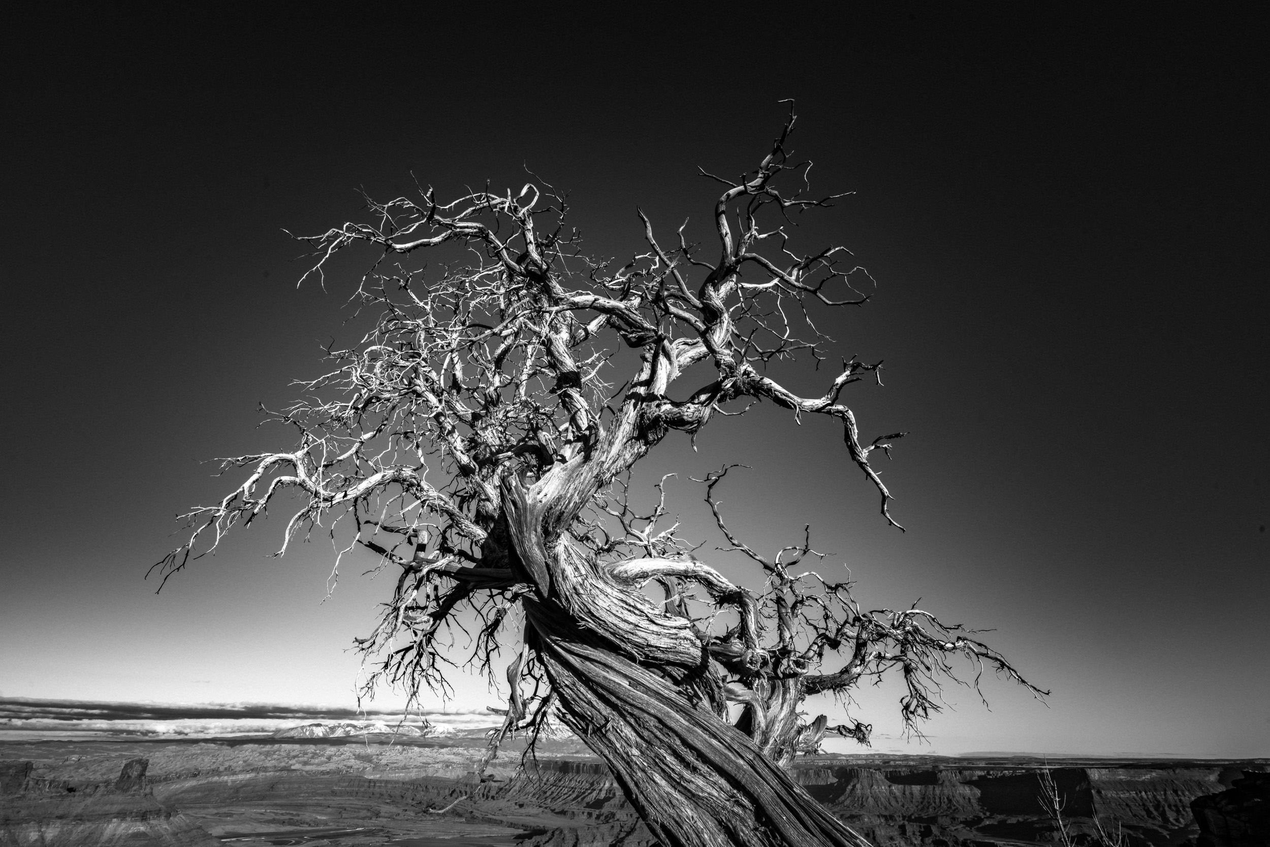 Clifford Pickett Photography the american west-6.jpg