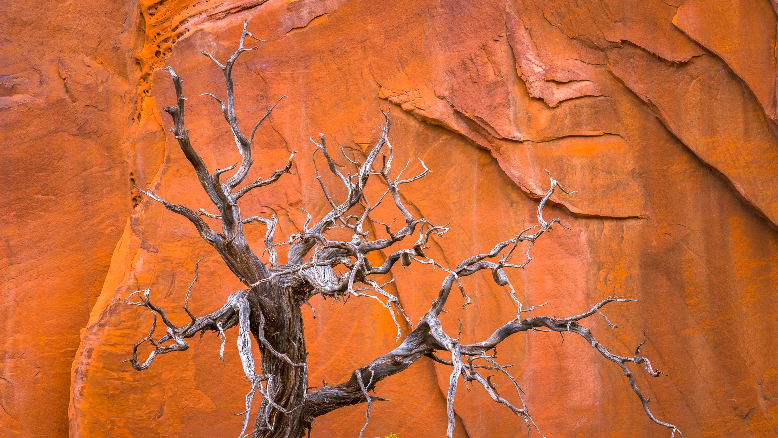 Clifford Pickett Photography the american west-11.jpg