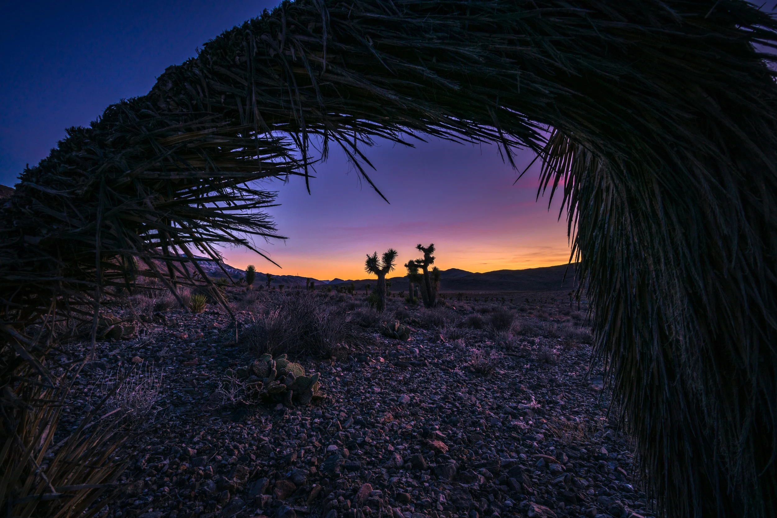 Clifford Pickett Photography the american west-18.jpg