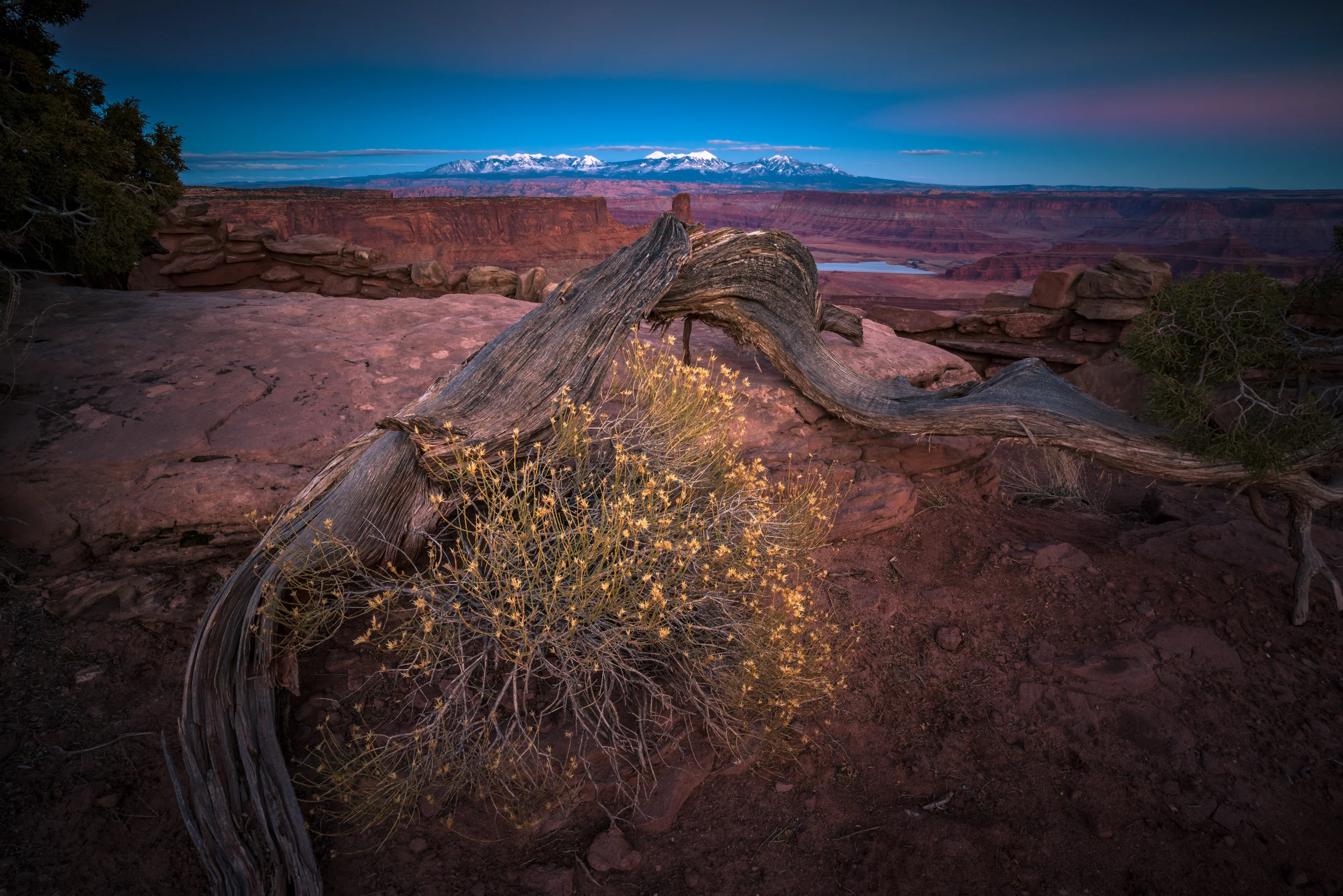 Clifford Pickett Photography the american west-19.jpg