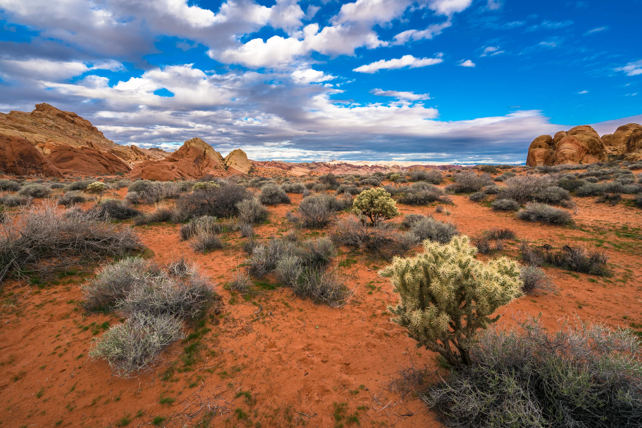 Clifford Pickett Photography the american west-24.jpg