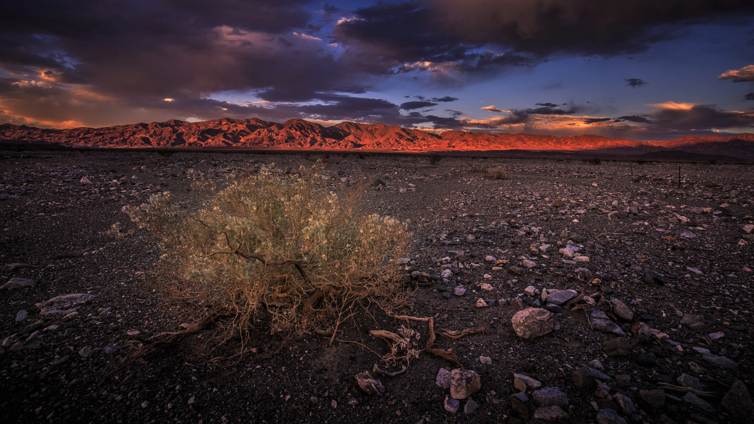 Clifford Pickett Photography the american west-27.jpg