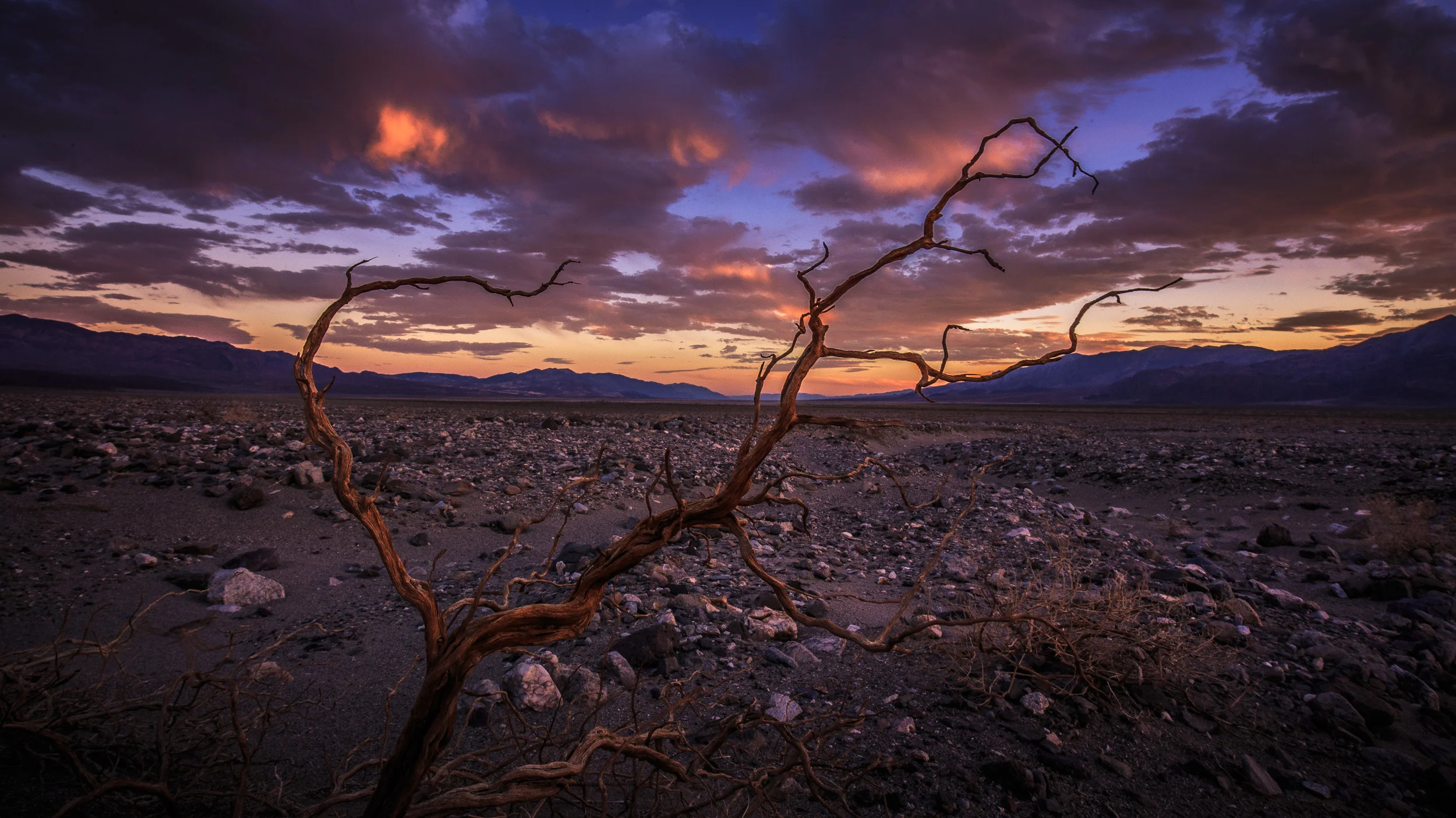 Clifford Pickett Photography the american west-29.jpg