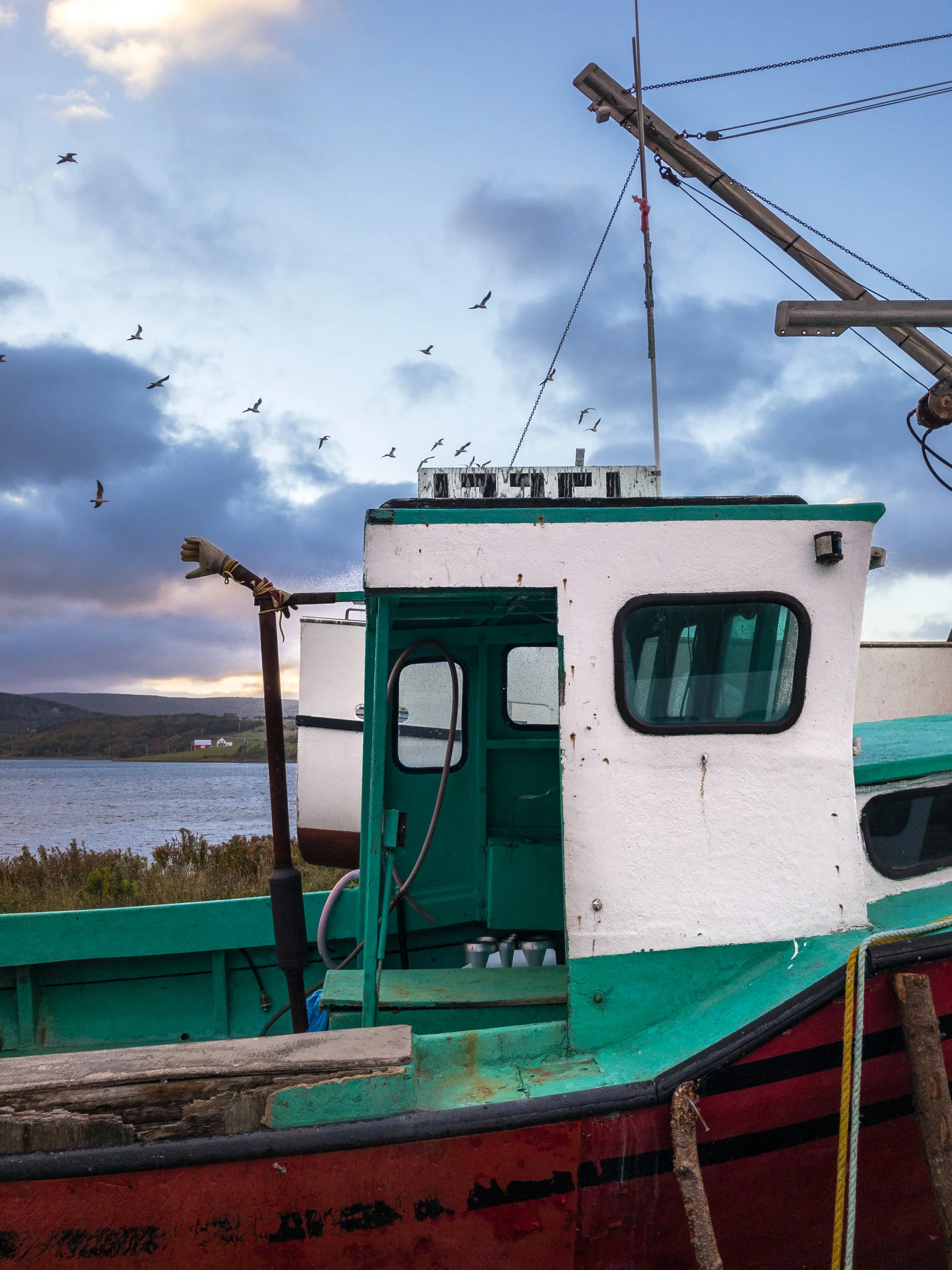 Clifford Pickett Photography Nova Scotia-13.jpg