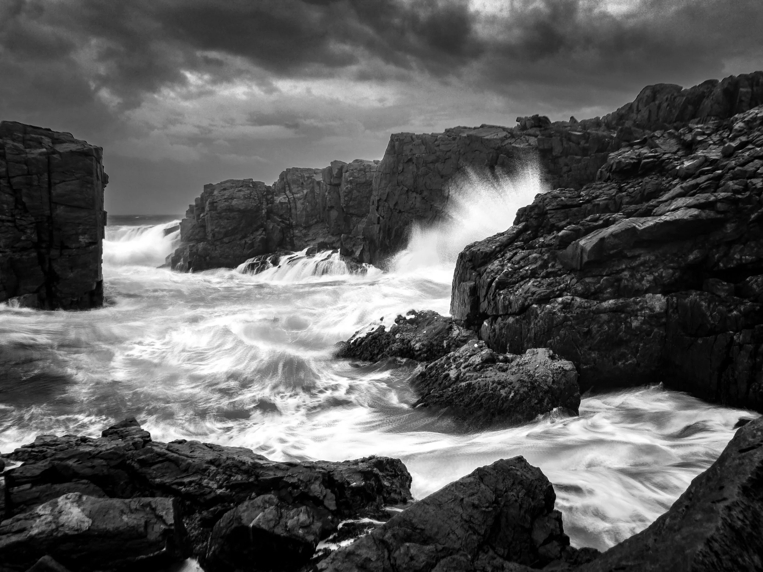 Clifford Pickett Photography Nova Scotia-15.jpg