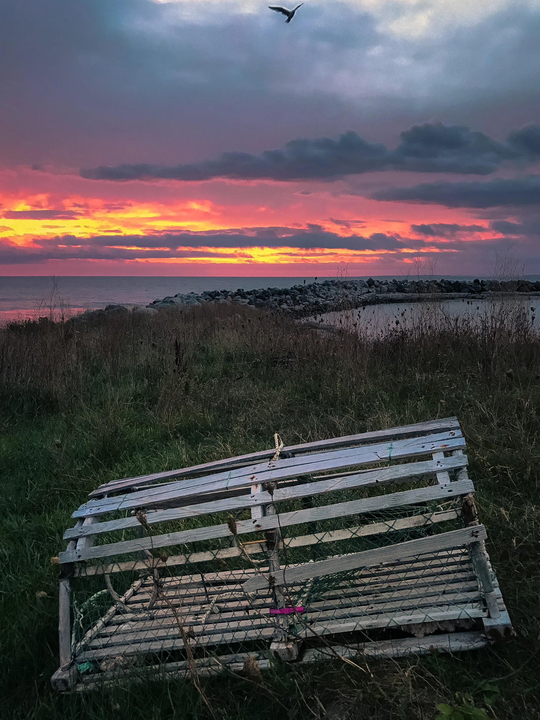 Clifford Pickett Photography Nova Scotia-21.jpg