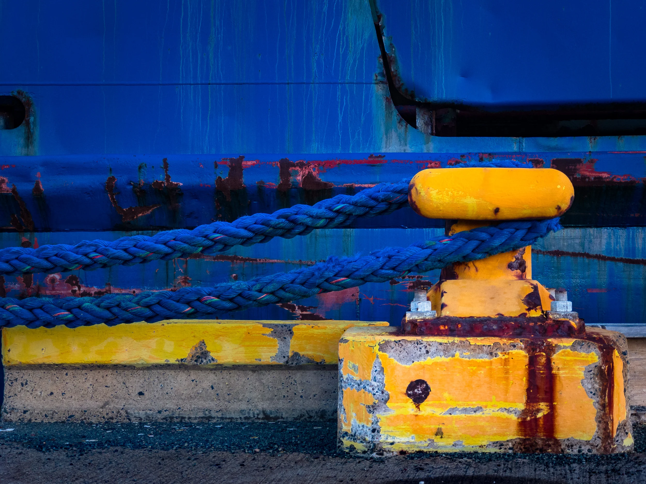 Clifford Pickett Photography Nova Scotia-24.jpg
