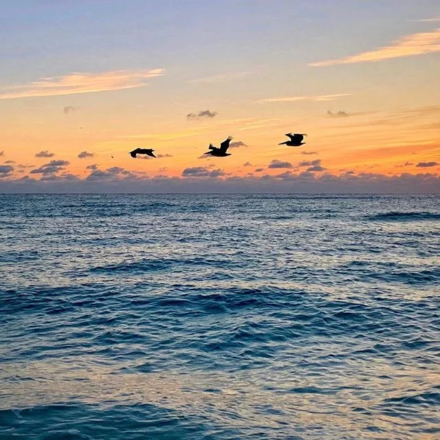 Gotta love the colors in Florida. Especially at sunrise.