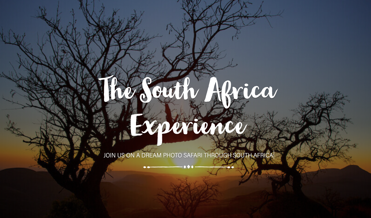 South Africa Photo Safari 2023 July 29th-August 7th 2023