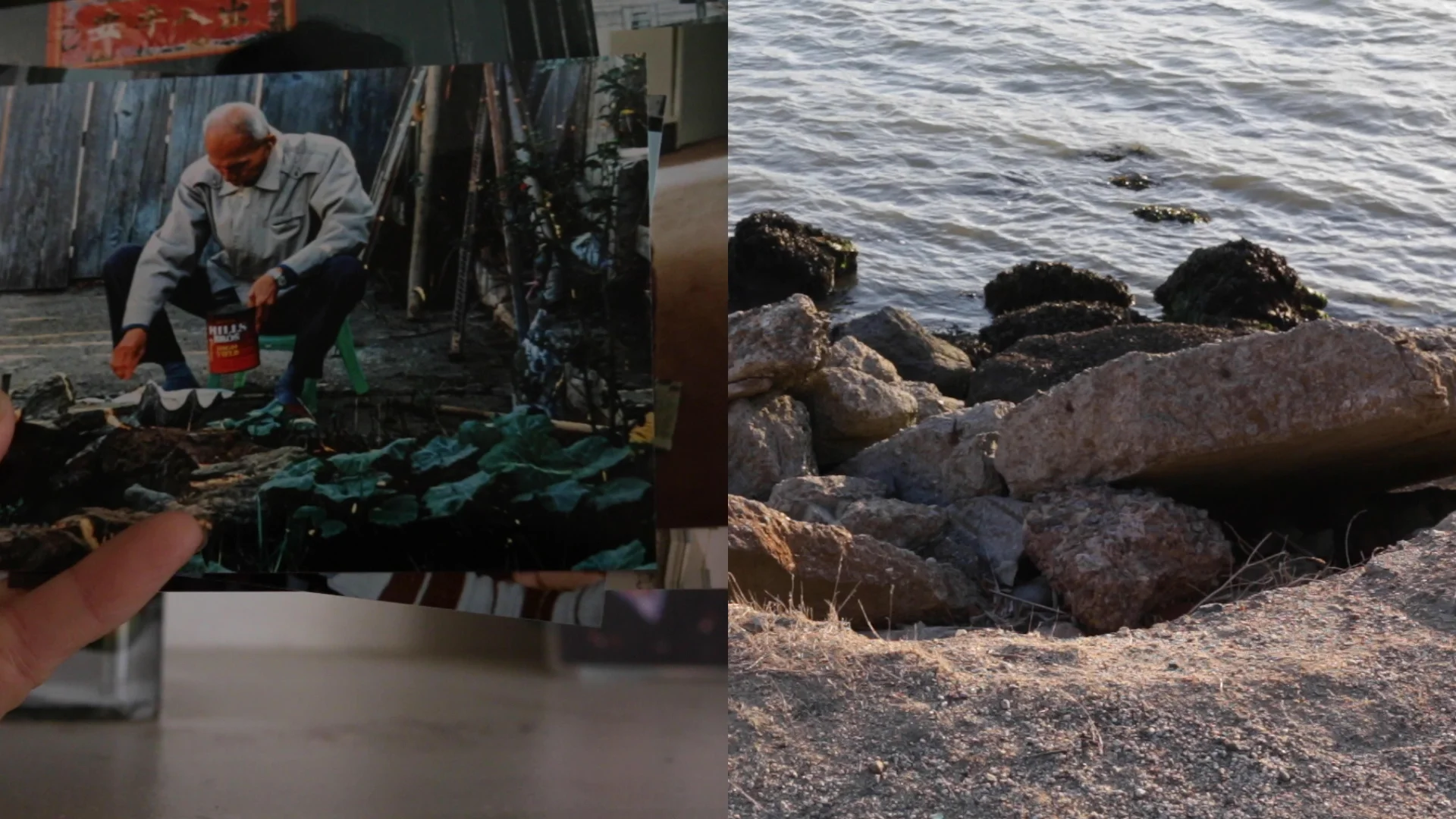 Memory in Food(Film Stills 11).jpg