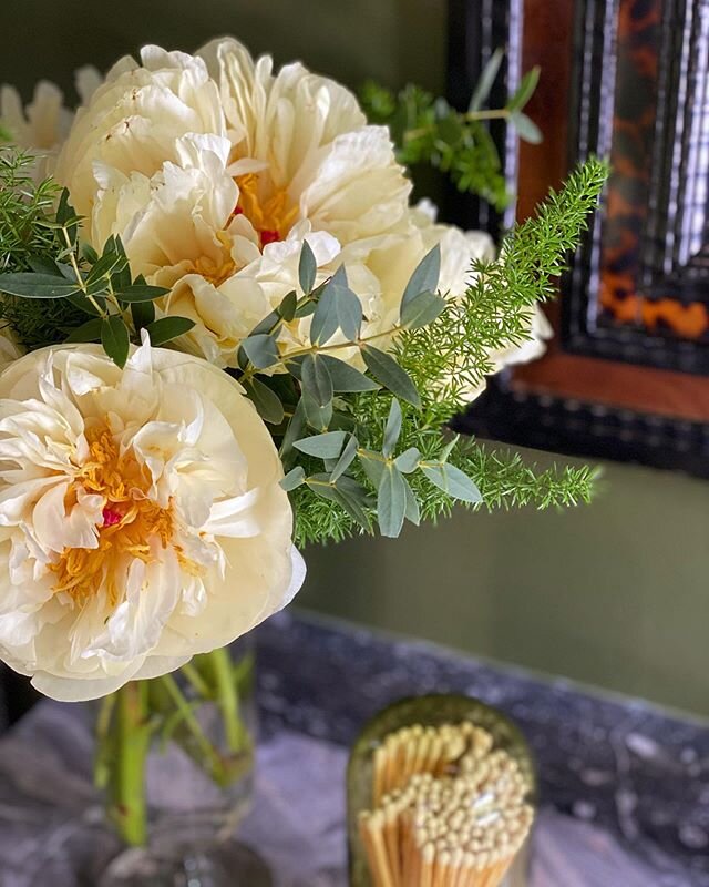 The impactful beauty of Peonies! This pale yellow variety of Tree Peony is called Bartzella and is one of my favorites. It was wonderful to be able to use these in our room for the @southeasternshowhouse that we shot with @hectormsanchezphoto earlier