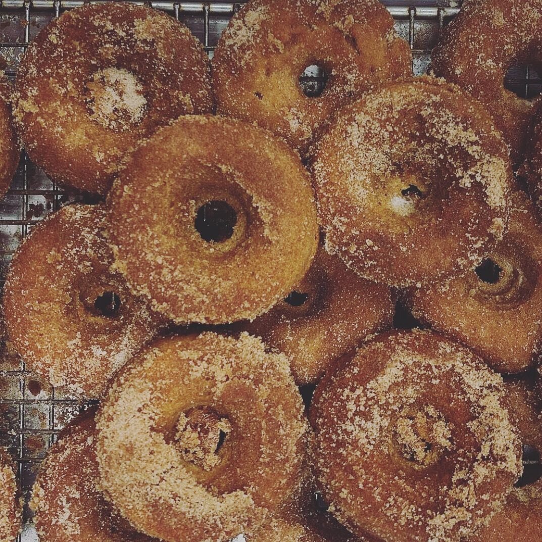 Starting up with the Pumpkin Chai  Donuts. Here we go! Any other donut flavors that might be fun for Fall? 🪞🍽🪅🍎🔗💖🌅💡🖼🔒 

#pumpkinspice #pumpkinchai #chai #donuts #bakeddonuts #bakedpumpkindonuts #pumpkindonuts #pumpkinspicelatte #spookyseaso