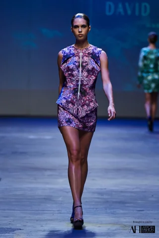 David Alford - MBFW CT AW 17