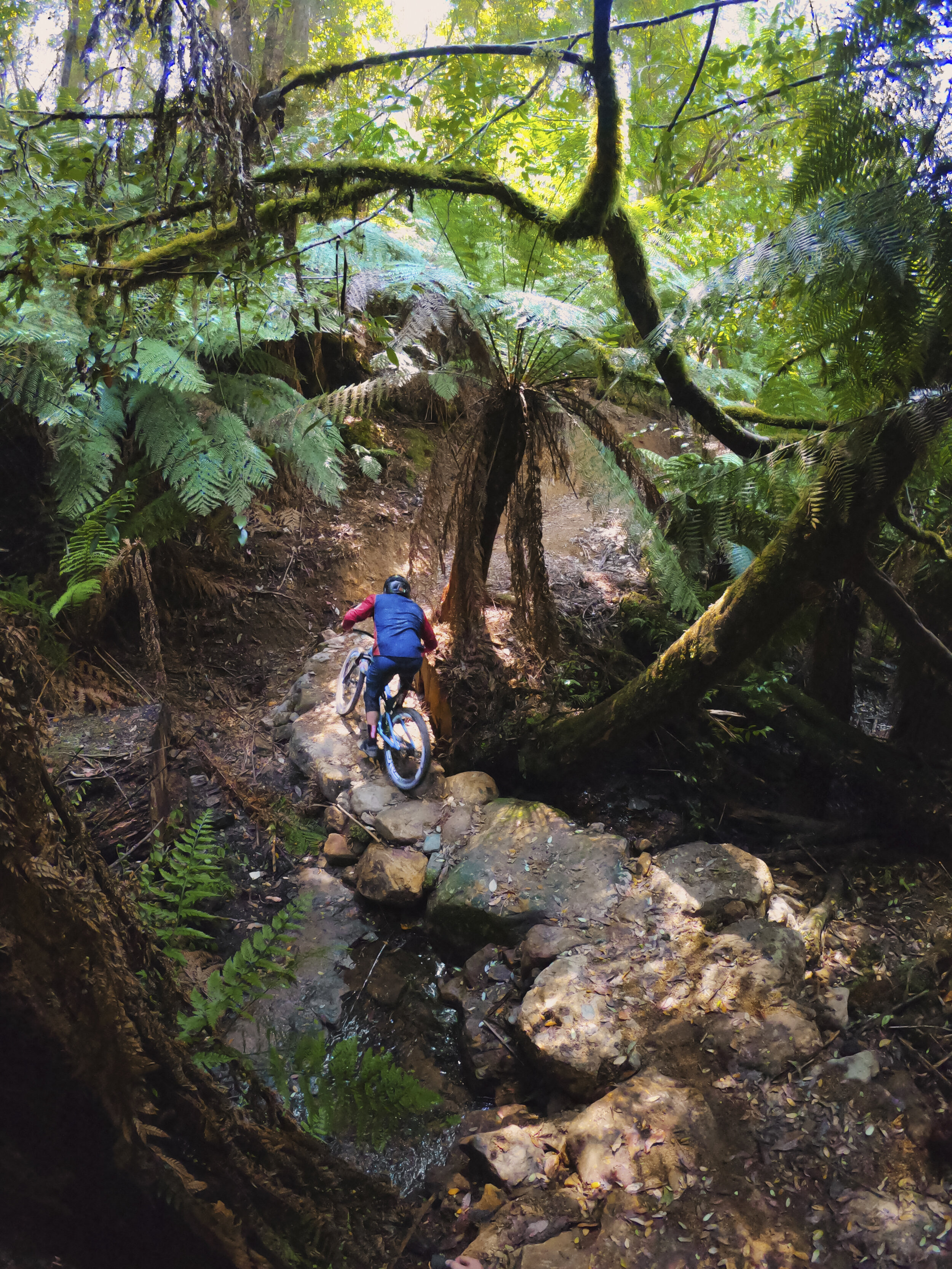 SI07203_190314_Tasmania_Spring_Campaign_Shoot_G0291447_APAC.jpg